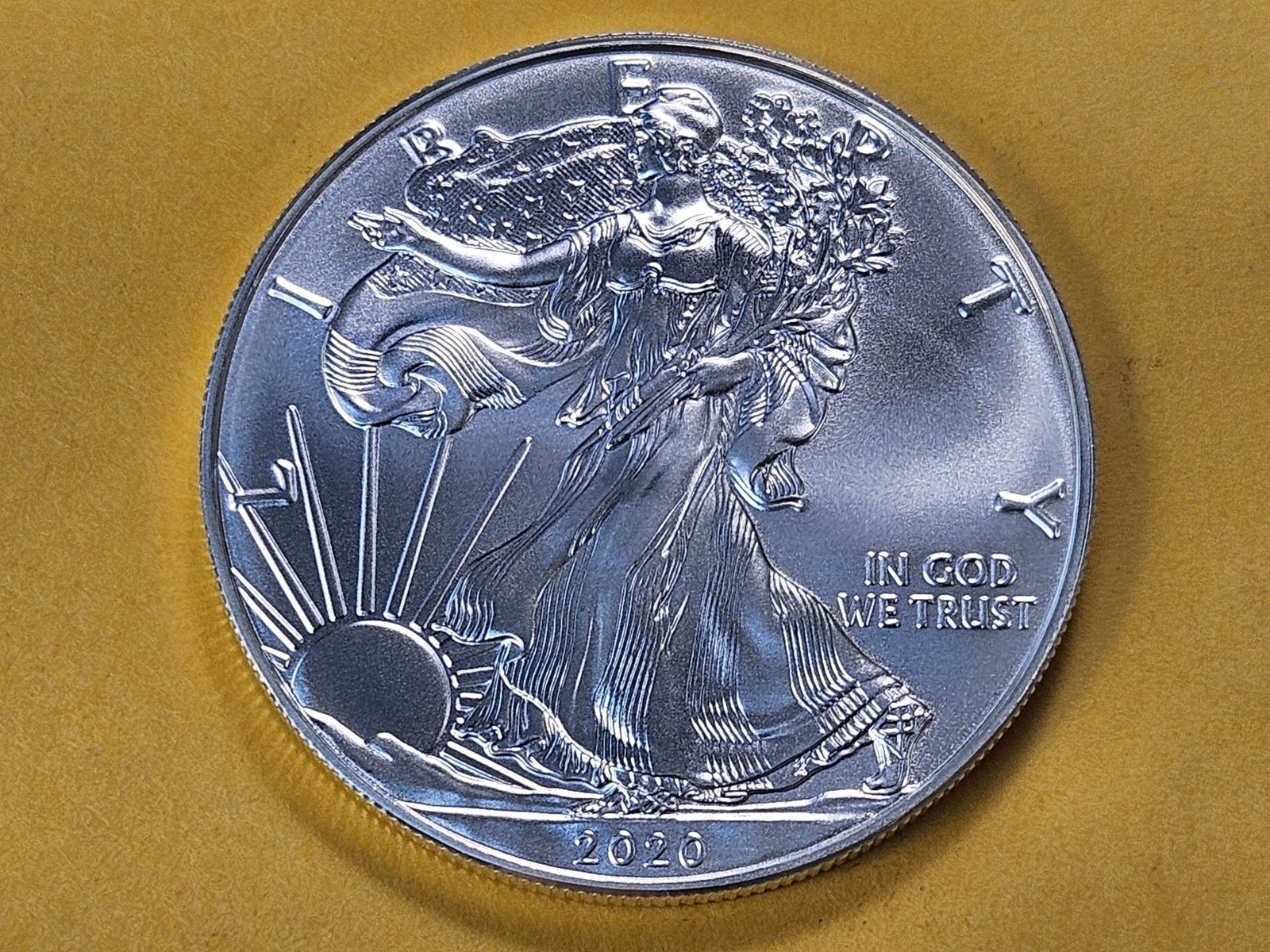 GEM Brilliant Uncirculated 2020 American Silver Eagle (1 of 4)