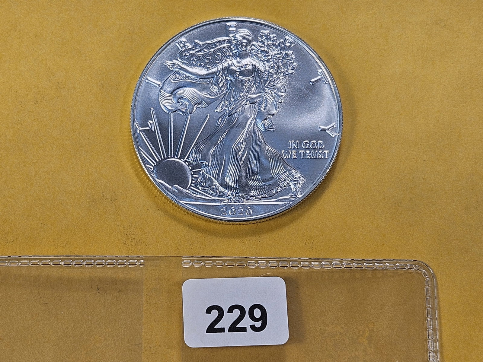 GEM Brilliant Uncirculated 2020 American Silver Eagle - 2