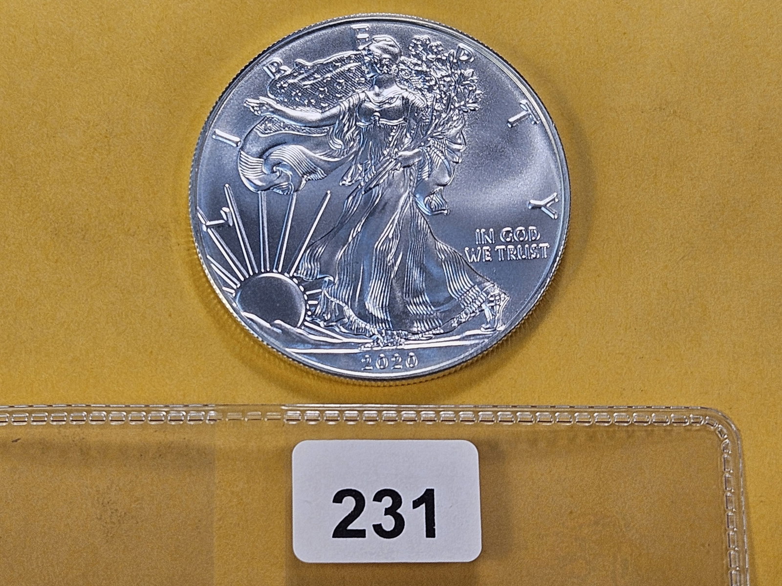 GEM Brilliant Uncirculated 2020 American Silver Eagle - 2