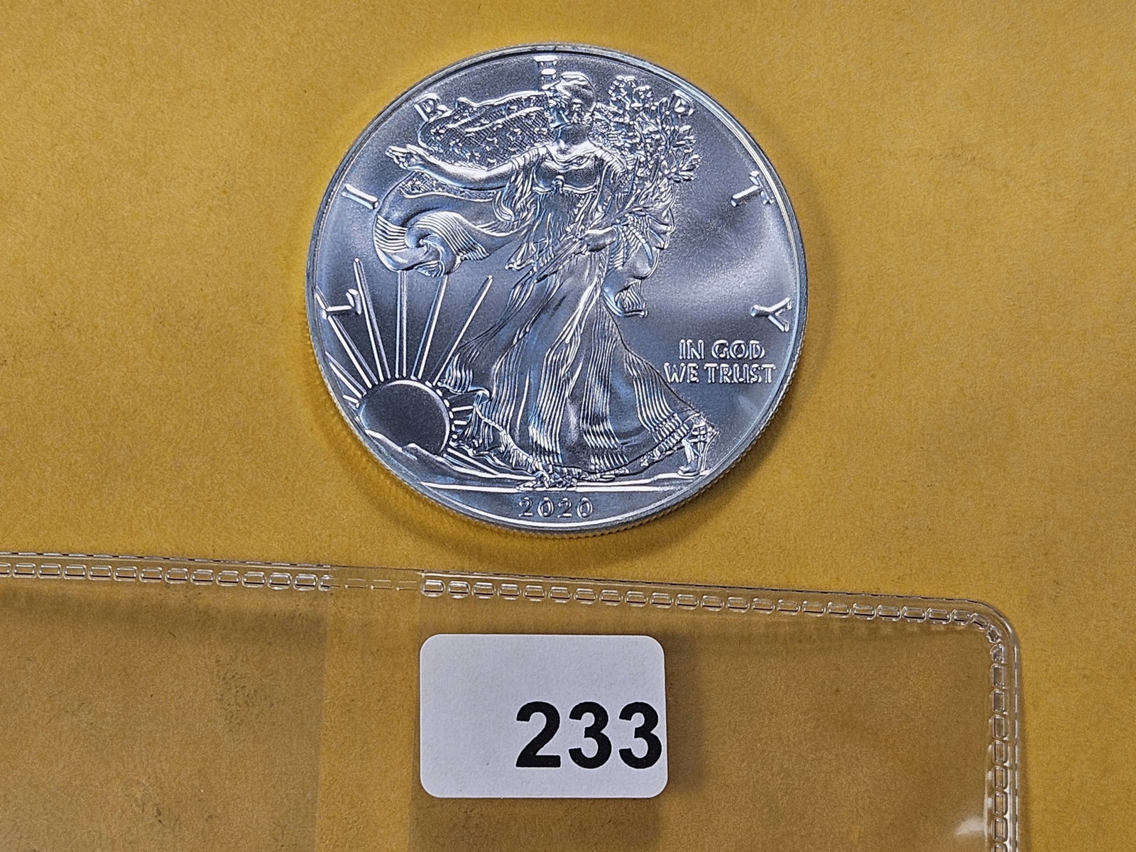 GEM Brilliant Uncirculated 2020 American Silver Eagle - 2