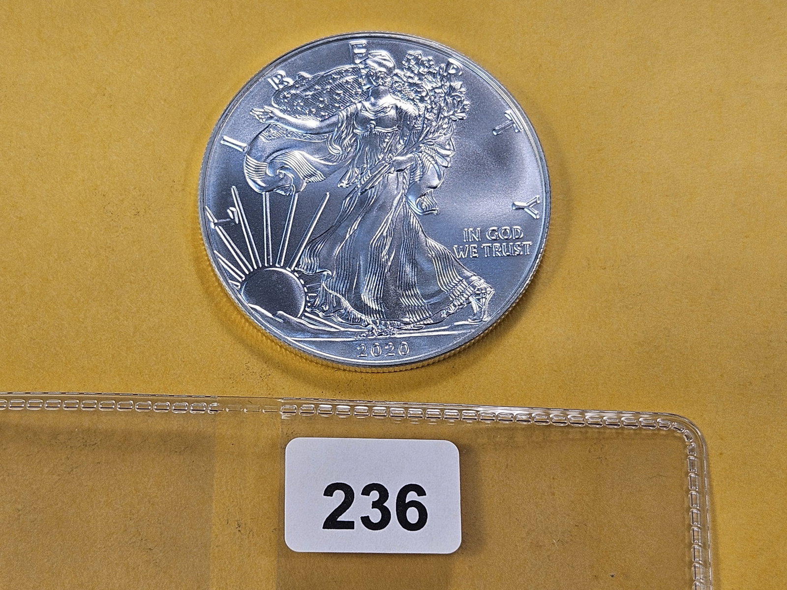 GEM Brilliant Uncirculated 2020 American Silver Eagle: Roll Fresh!