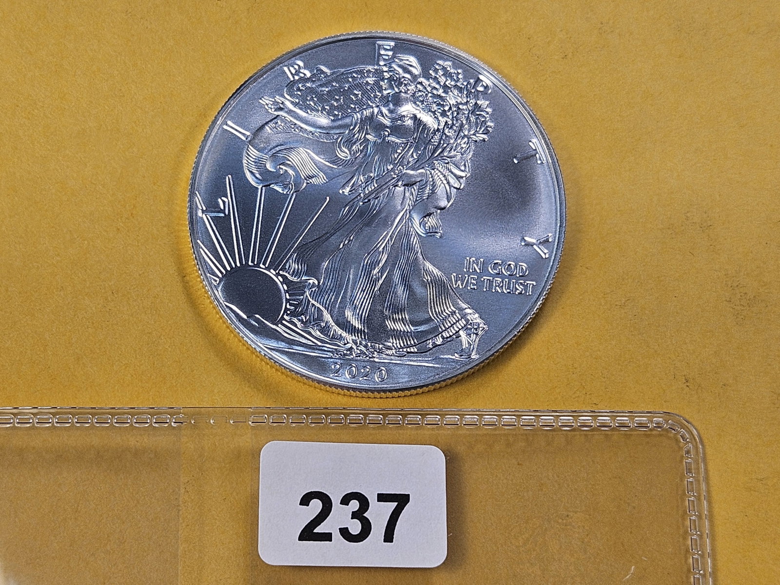 GEM Brilliant Uncirculated 2020 American Silver Eagle - 2