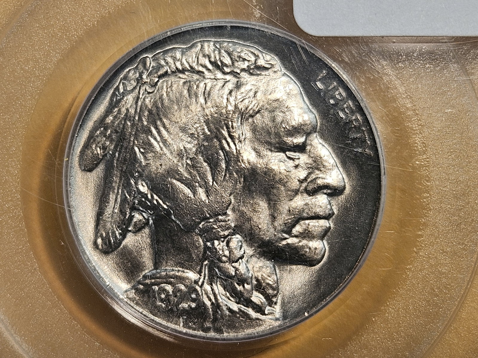 GEM! OGH! PCGS 1929 Buffalo Nickel in Mint State 65: Old Green Holder! Gorgeous luster!