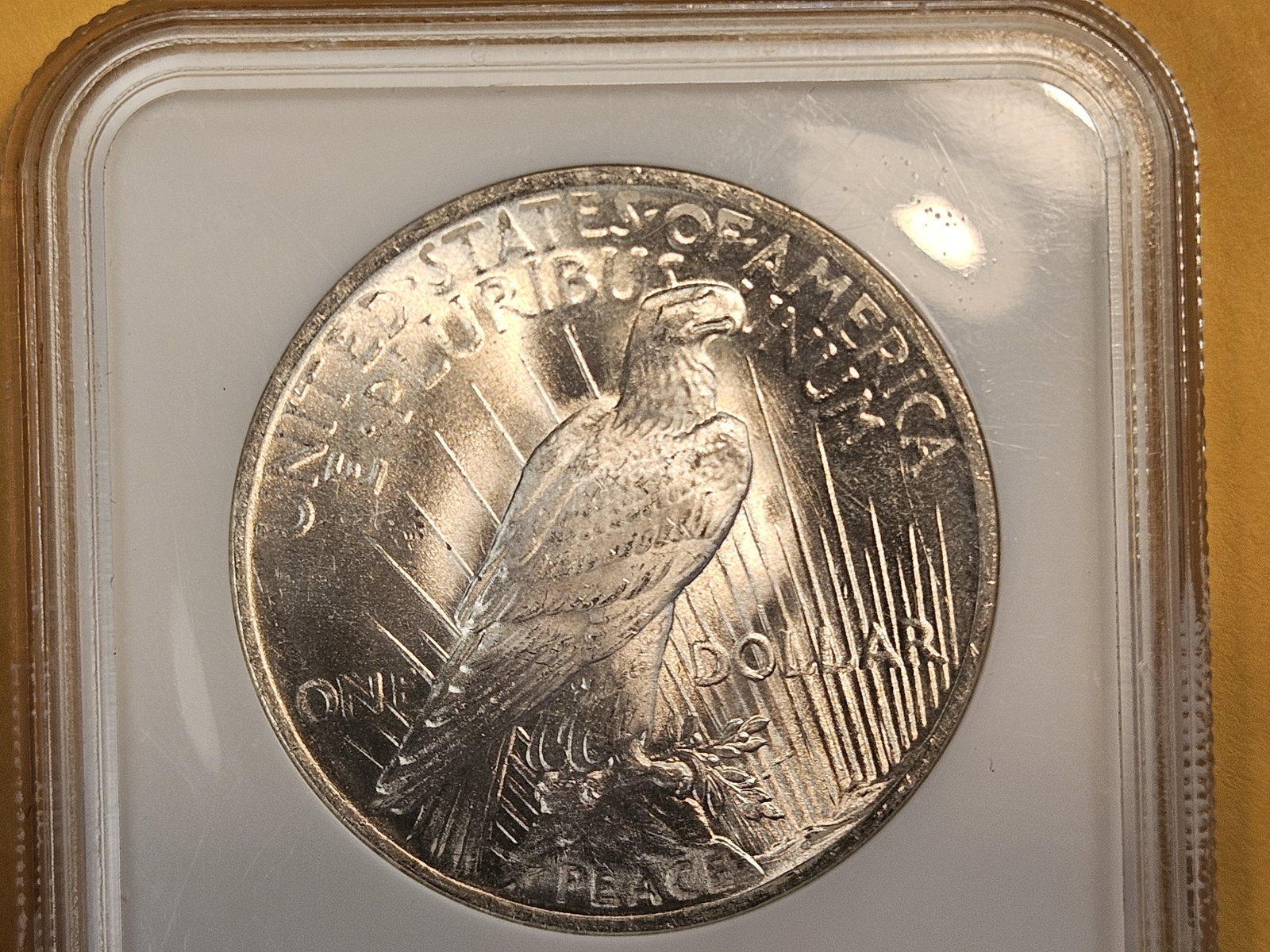 GEM! 1923 Peace Silver Dollar in Mint State 65 - 5