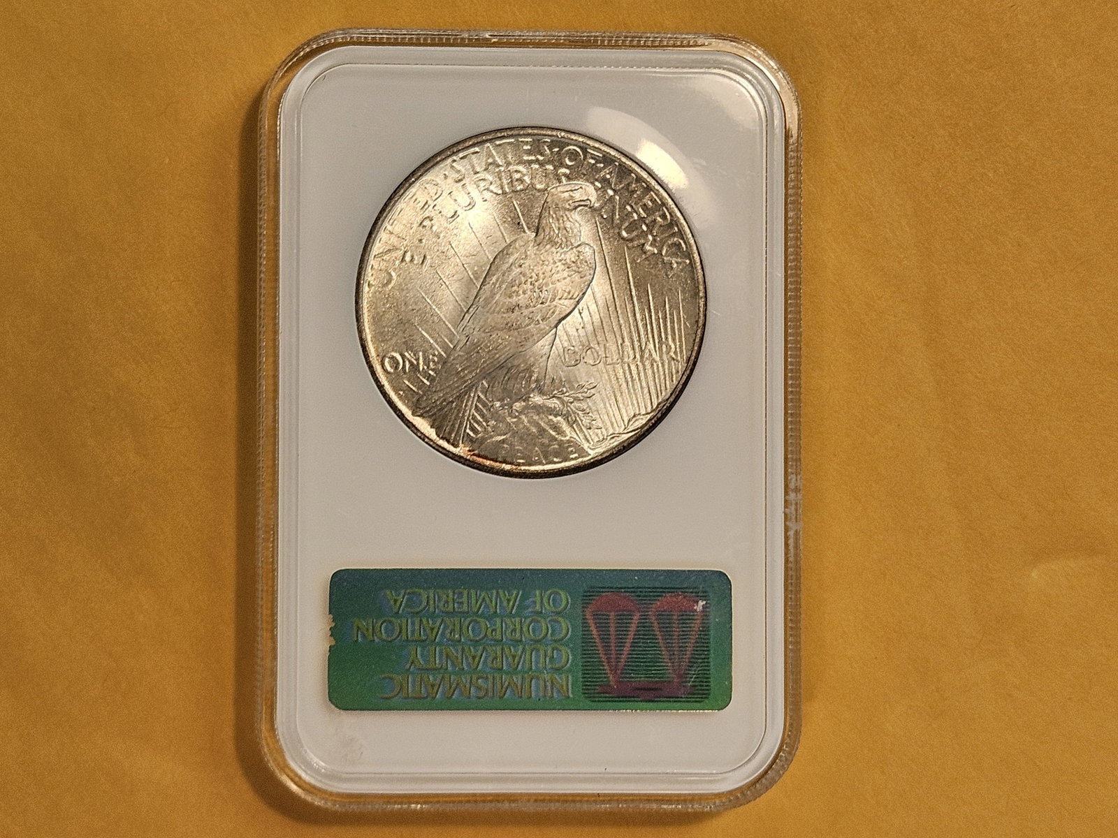 GEM! NGC 1924 Peace Silver Dollar in Mint State 65 - 5