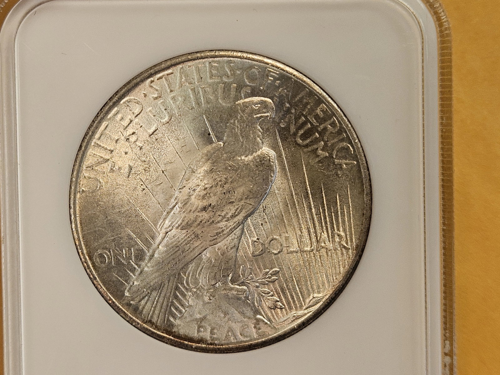 GEM! NGC 1924 Peace Silver Dollar in Mint State 65 - 6