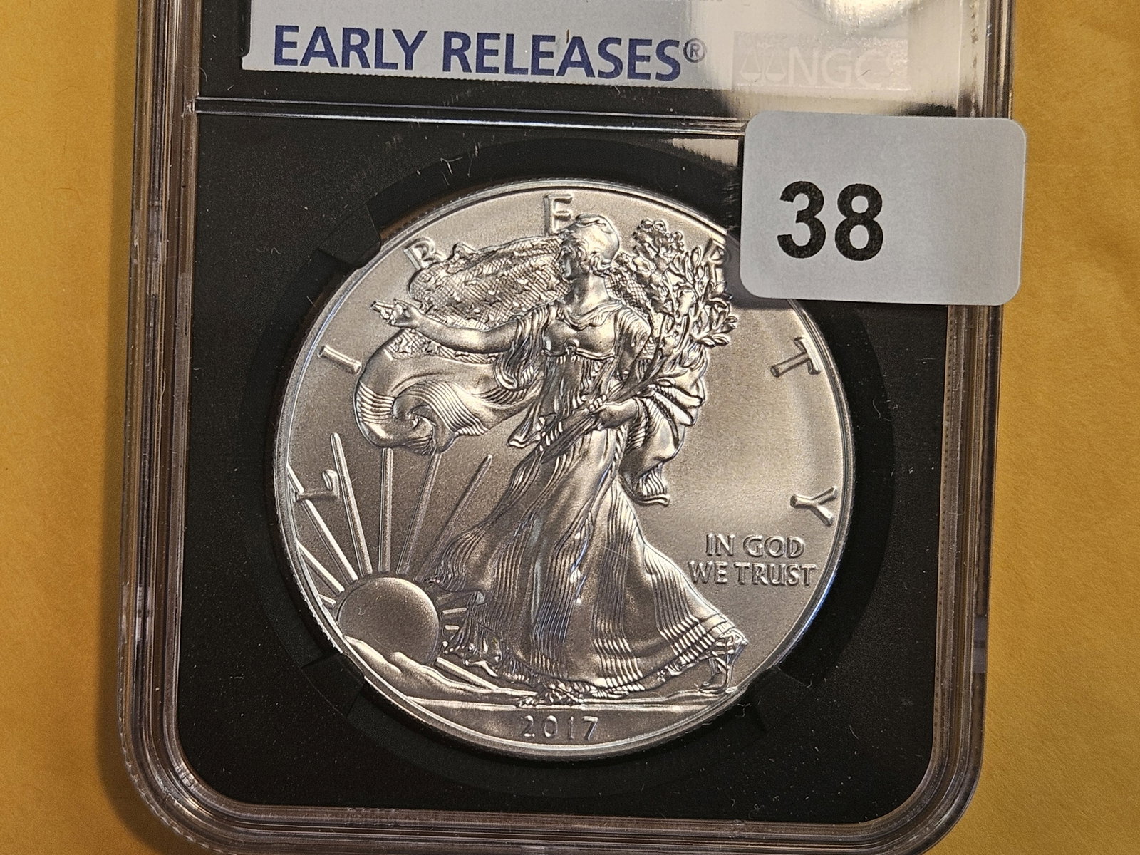PERFECT! NGC 2017 American silver Eagle in Mint State 70: Perfect Grade!