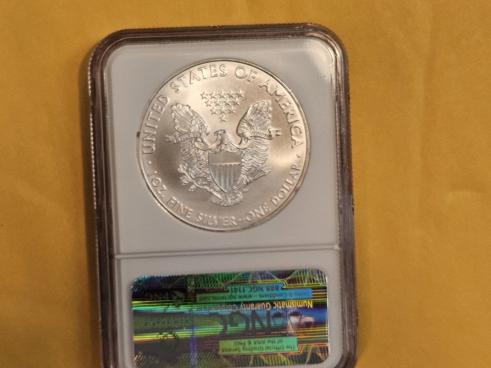NGC 2010 American Silver Eagle in Mint State 69 - 2