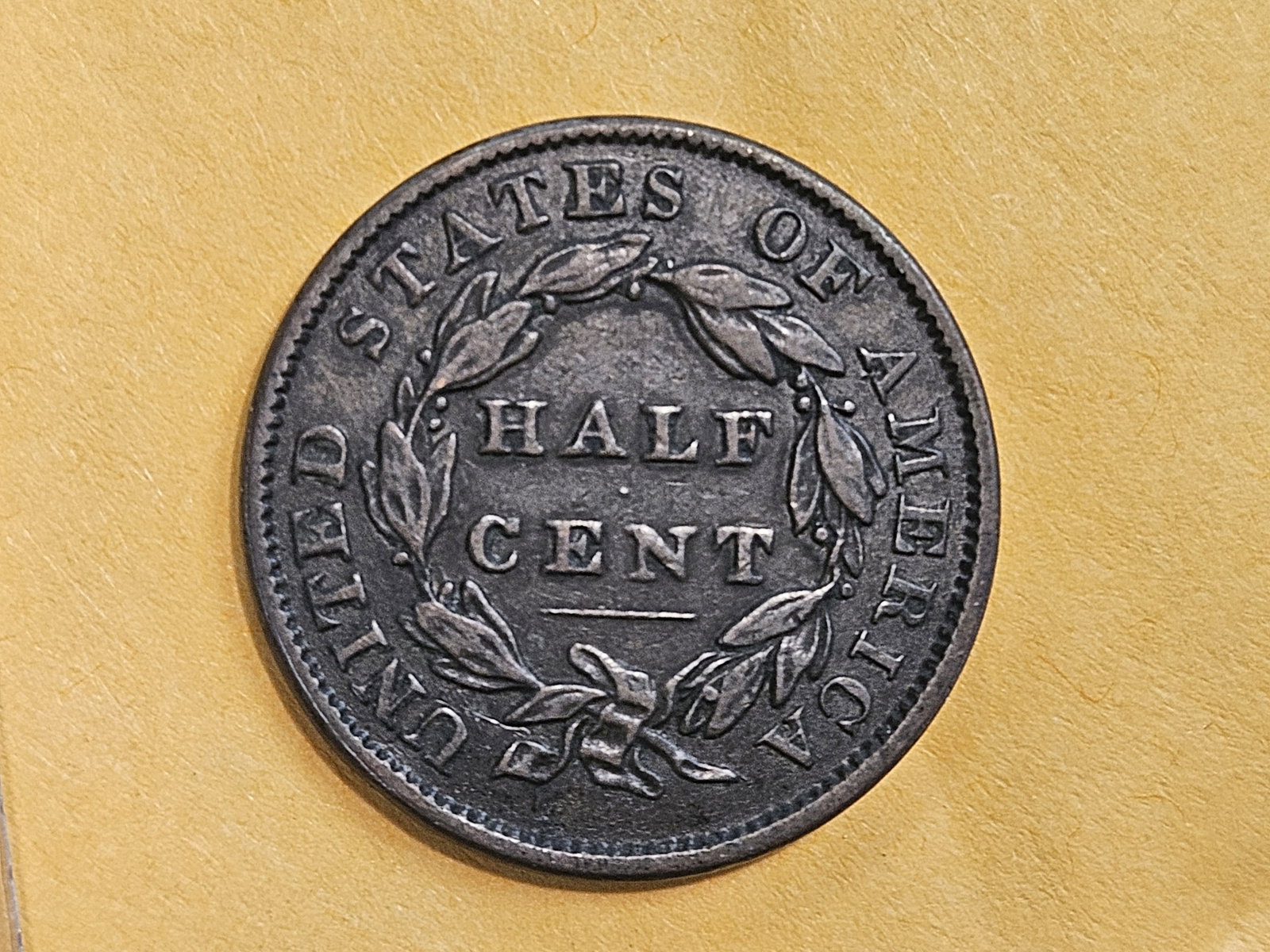 1833 Classic Head Half Cent in Extra Fine - 5