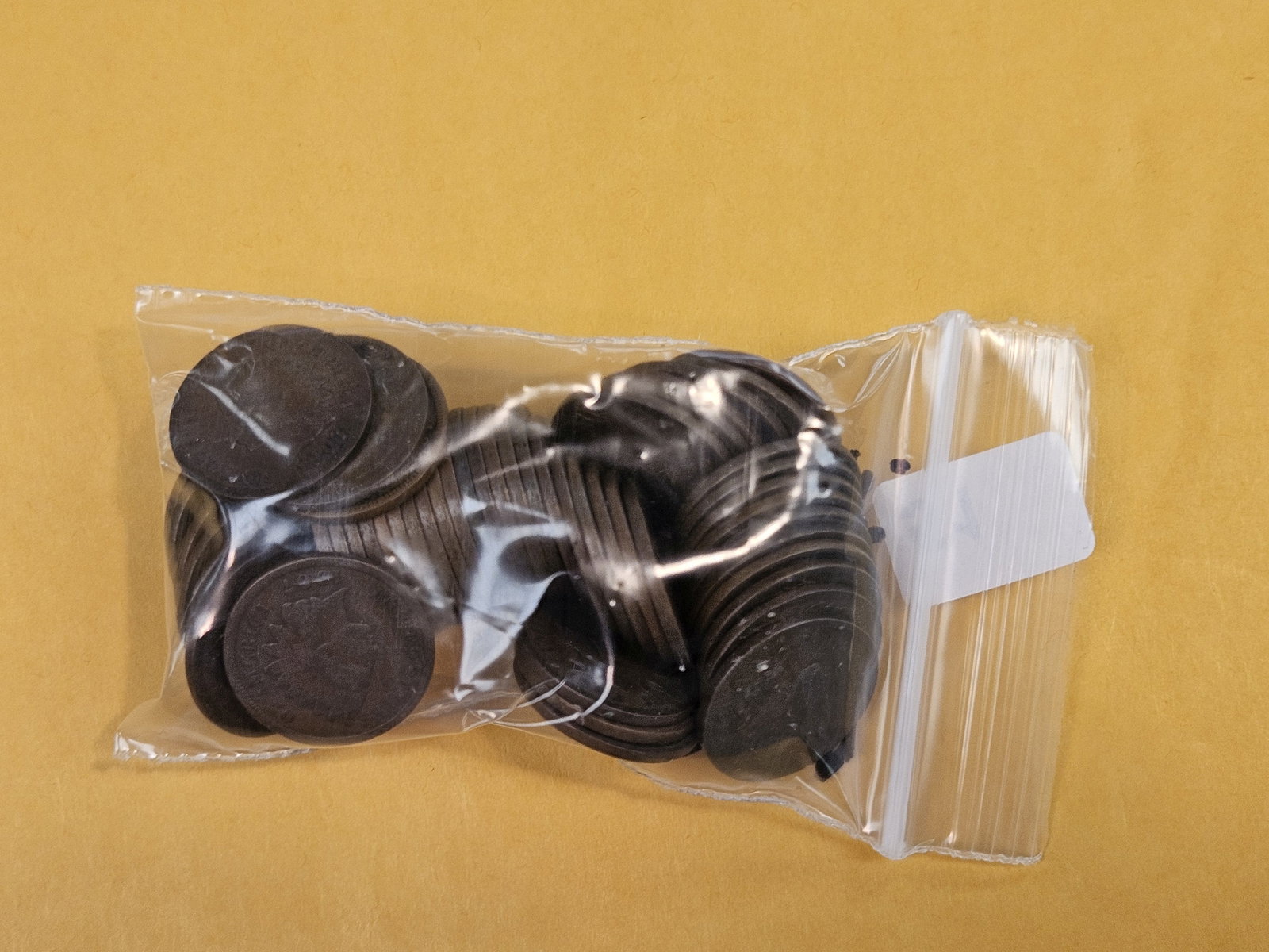 Fifty-One Indian Cents - 2