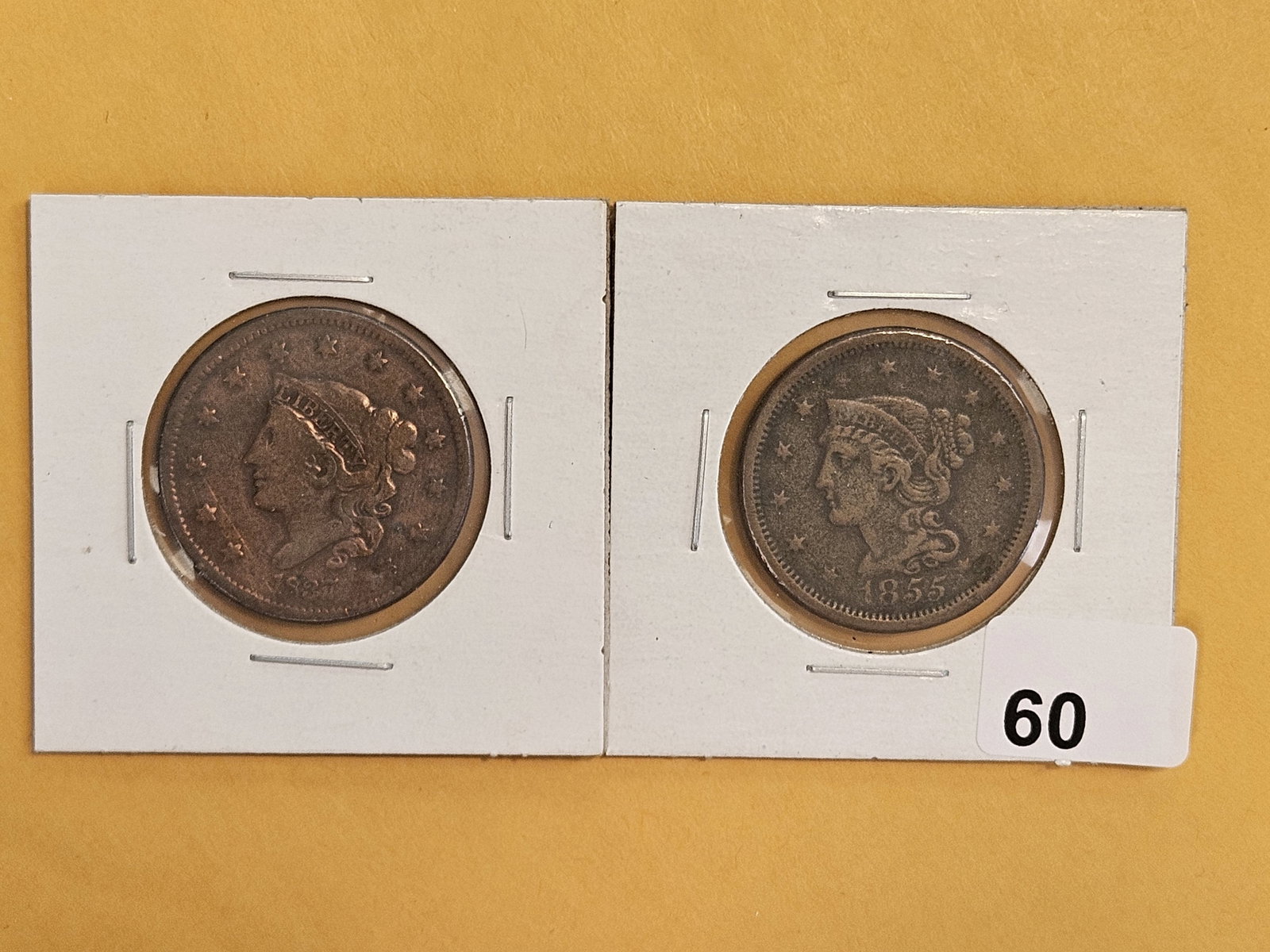1837 and 1855 Large Cents: Both moderately circulated