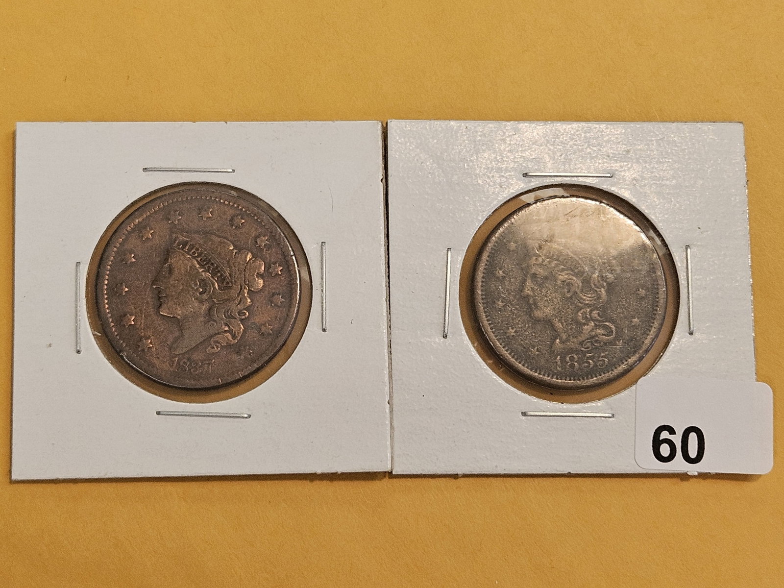 1837 and 1855 Large Cents - 2