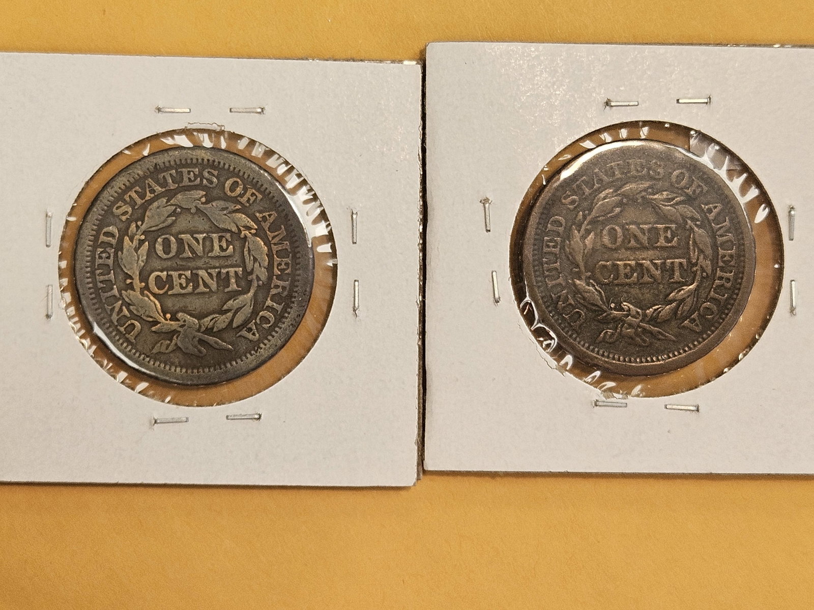 1851 and 1856 Braided Hair Large Cents - 3