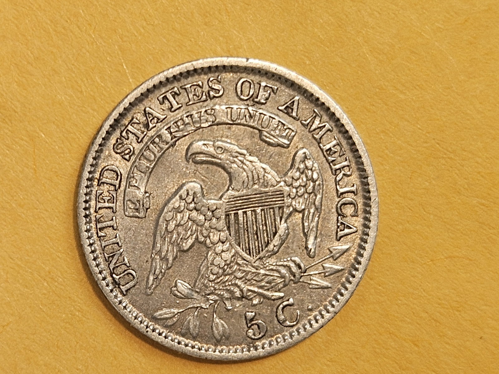 About Uncirculated 1831 Capped Bust Half Dime - 6