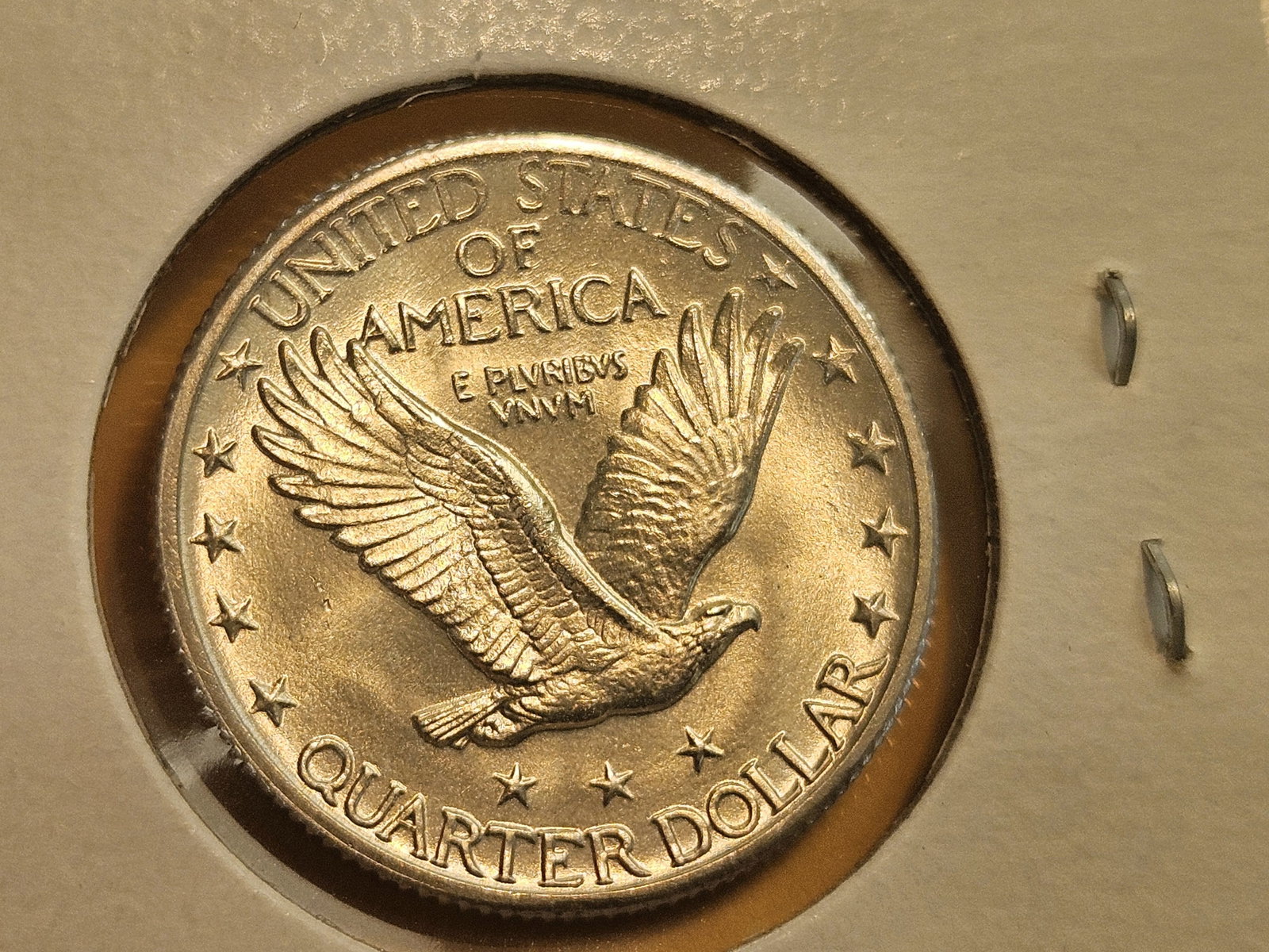 ** GEM to Superb GEM Brilliant Uncirculated 1925 Standing Liberty Quarter - 10