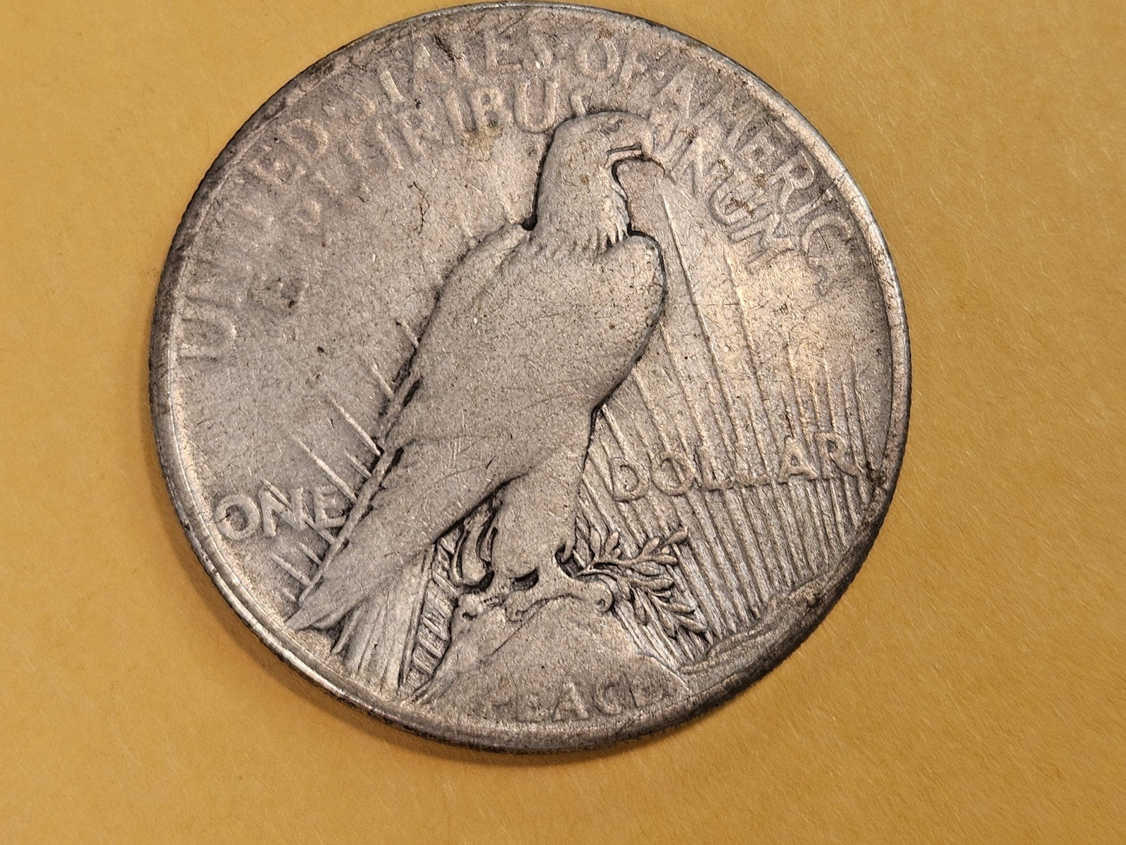 ** KEY DATE ** 1921 Peace Silver Dollar in Very Fine - 3