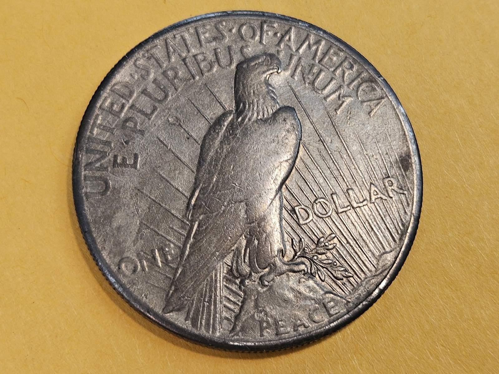 ** KEY DATE 1928 Peace Silver Dollar in Very Fine - 5