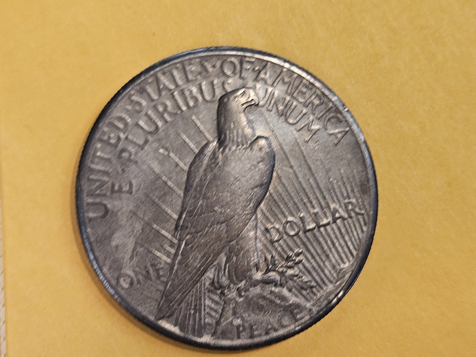 ** KEY DATE 1928 Peace Silver Dollar in Very Fine - 6
