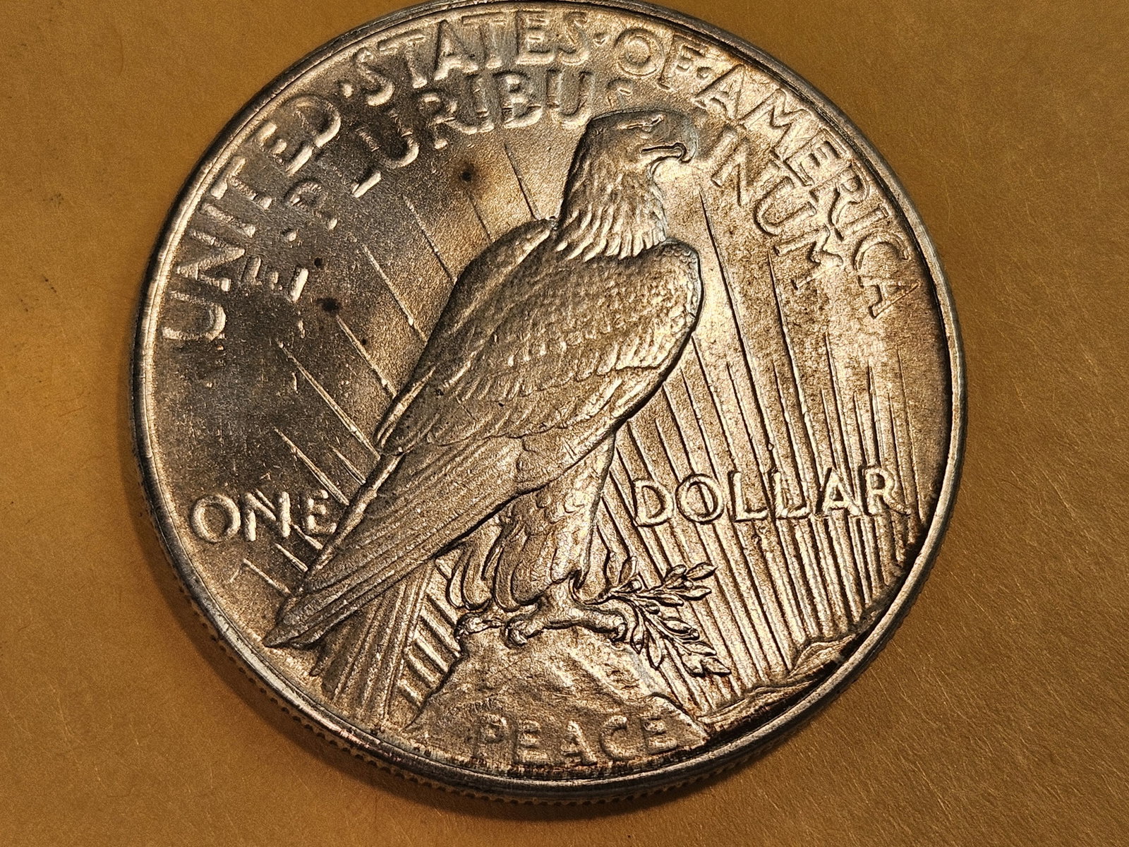 Choice Brilliant Uncirculated 1934 Peace Silver Dollar - 4