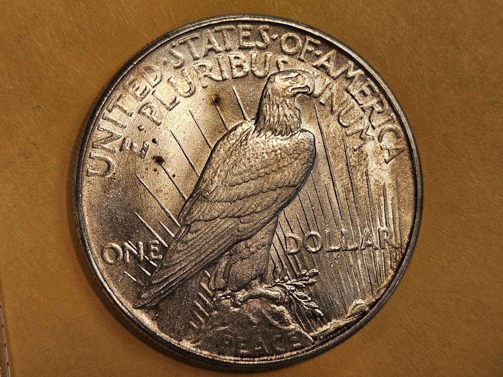 Choice Brilliant Uncirculated 1934 Peace Silver Dollar - 5