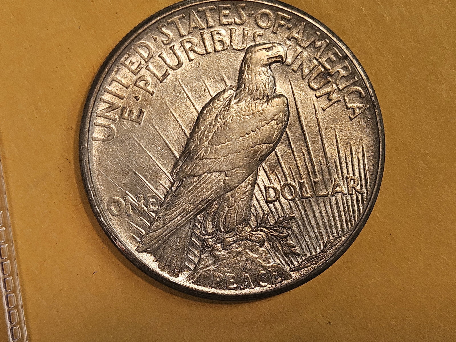 ** KEY DATE ** 1921 Peace Silver Dollar in About Uncirculated - 55 - 4