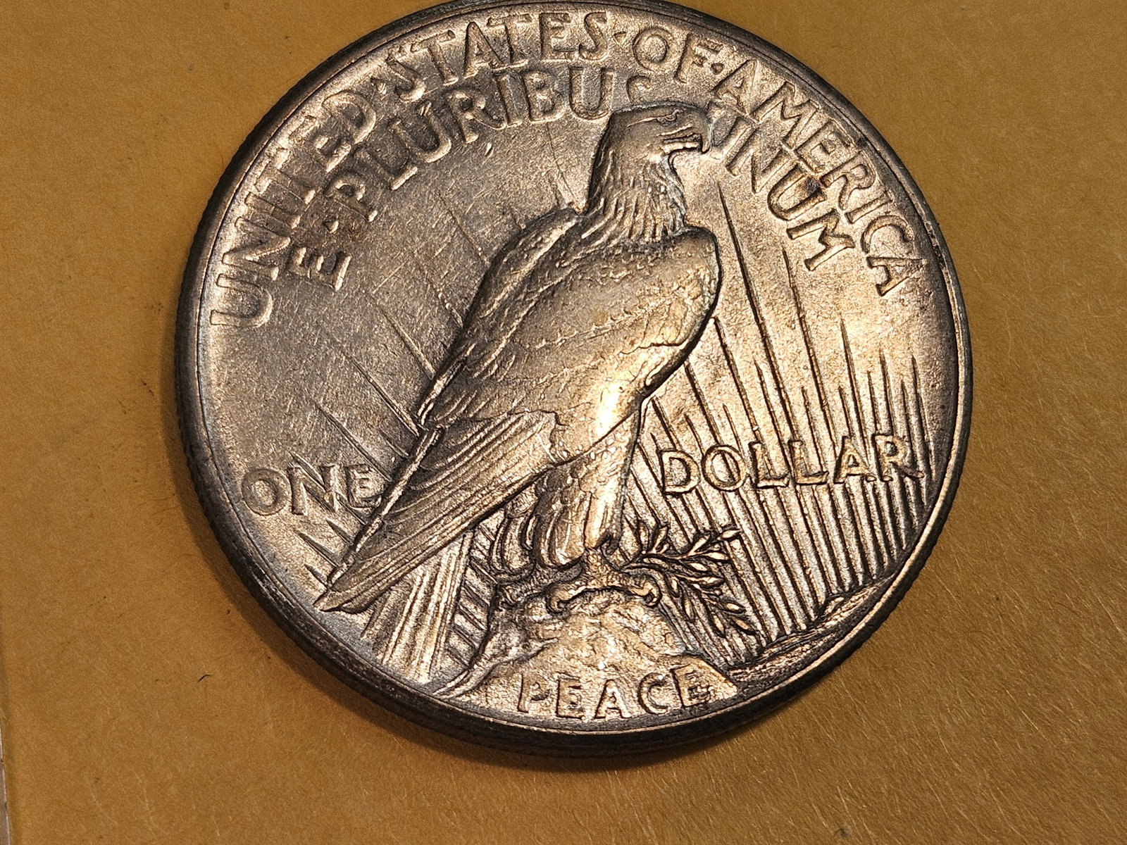 ** KEY DATE ** 1921 Peace Silver Dollar in About Uncirculated - 55 - 5