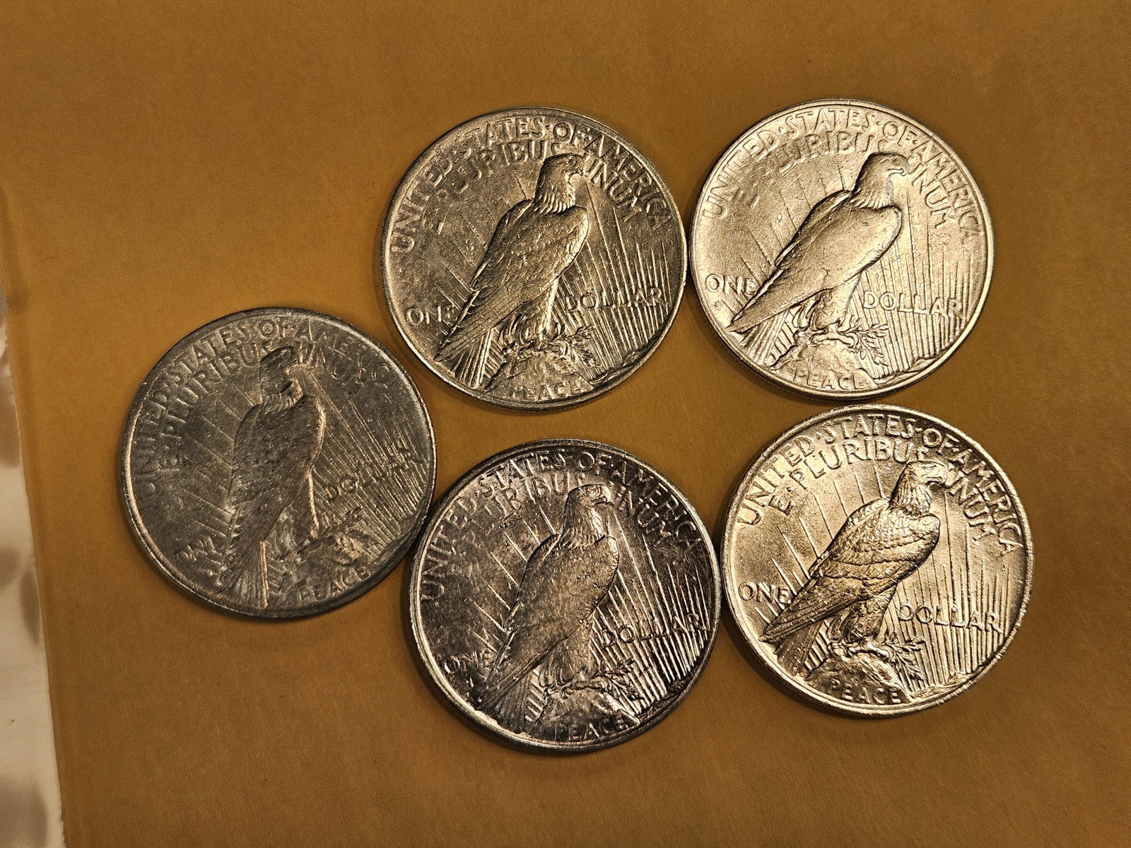 Five mixed Peace Silver Dollars - 3