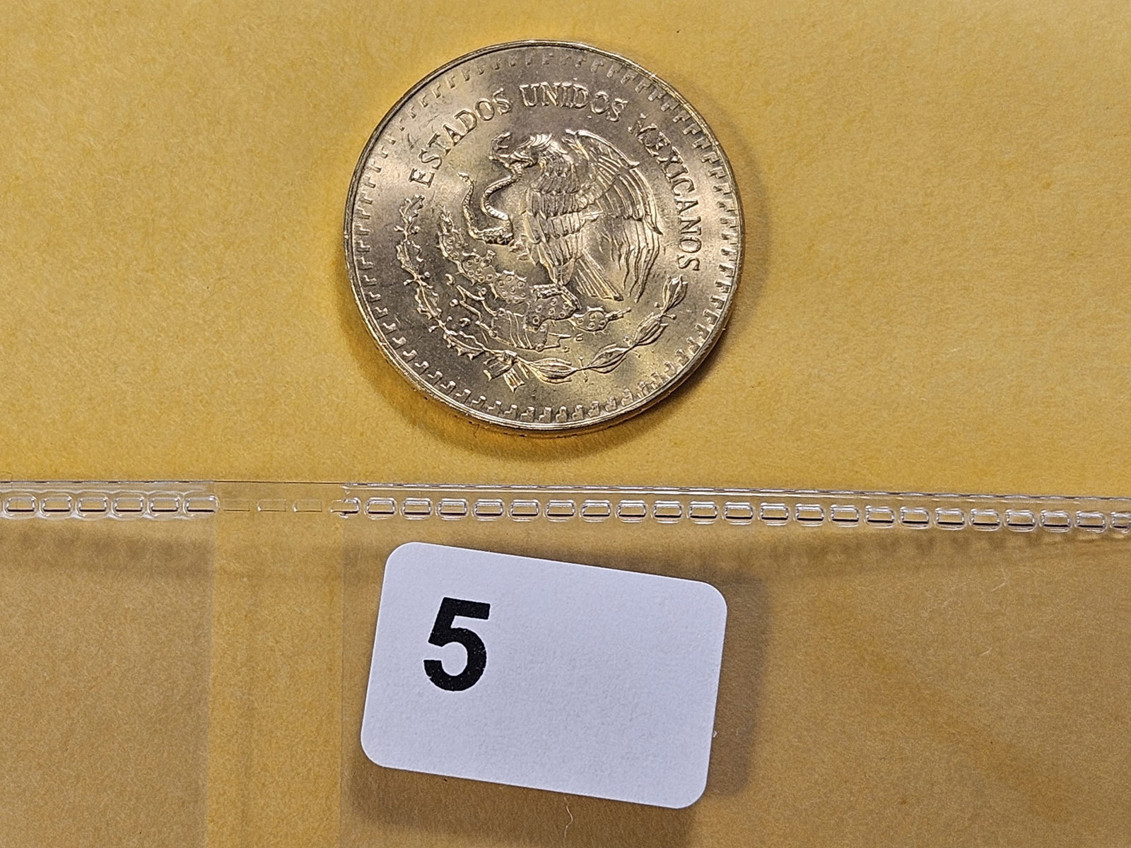GOLD! GEM Brilliant Uncirculated 1981-Mo Mexico 1/4 Libertad - 3