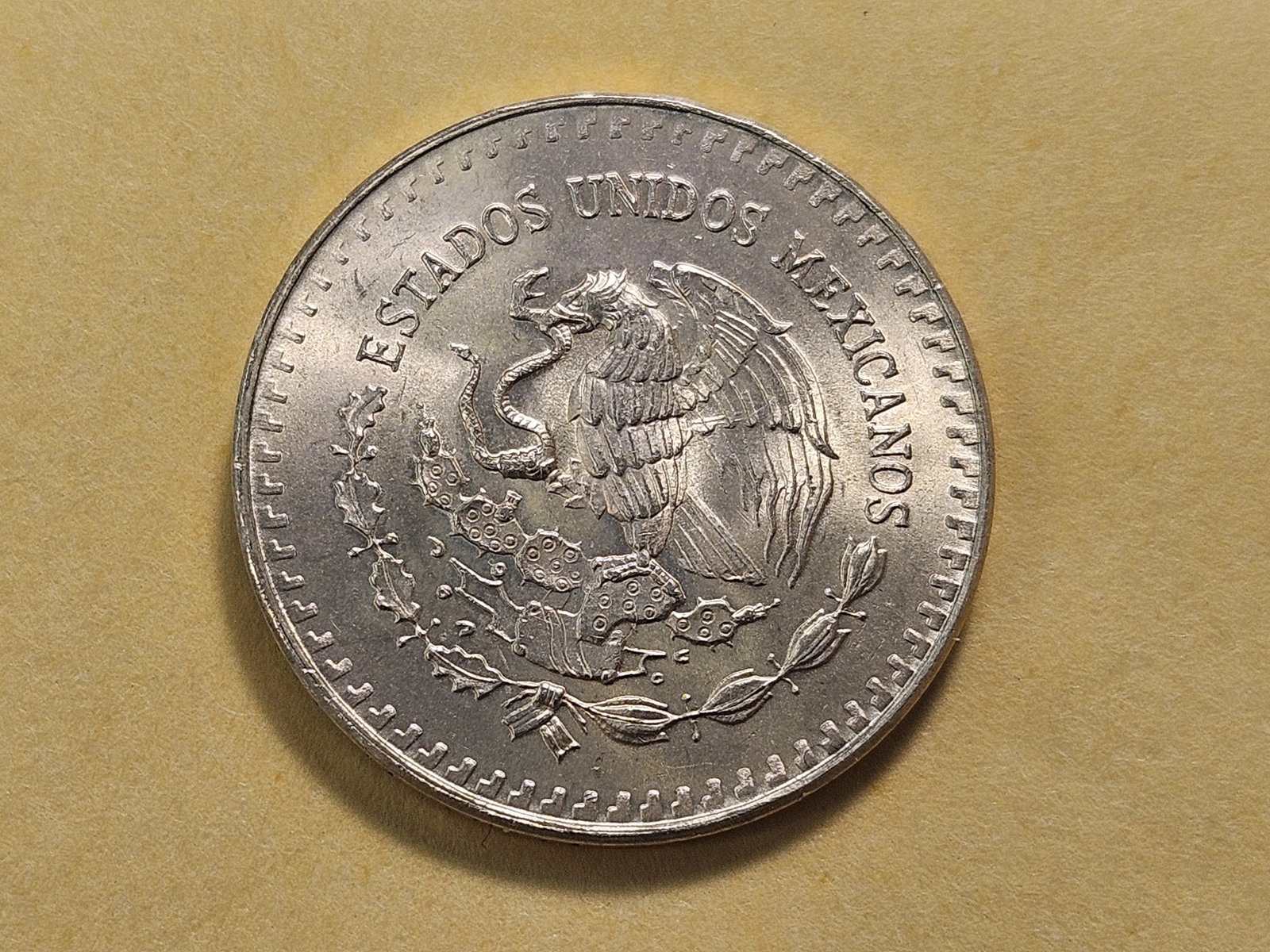 GOLD! GEM Brilliant Uncirculated 1981-Mo Mexico 1/4 Libertad - 4