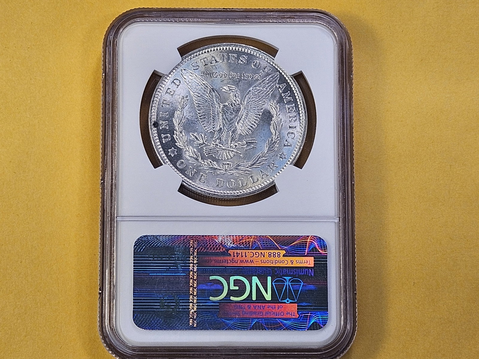 NGC 1921 Morgan Silver Dollar in Mint State 63 - 3