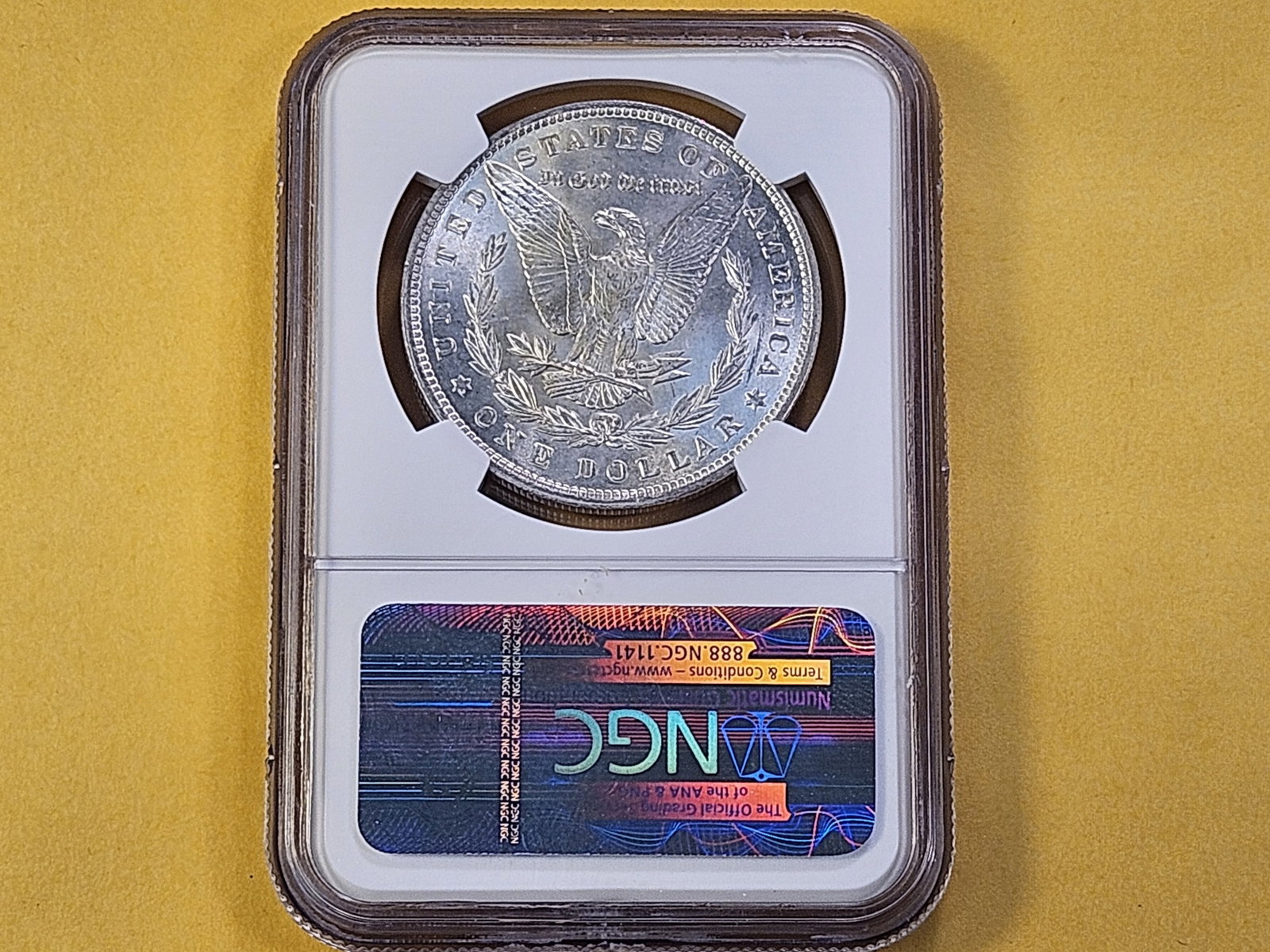 NGC 1900 Morgan Silver Dollar in Mint State 63 - 3