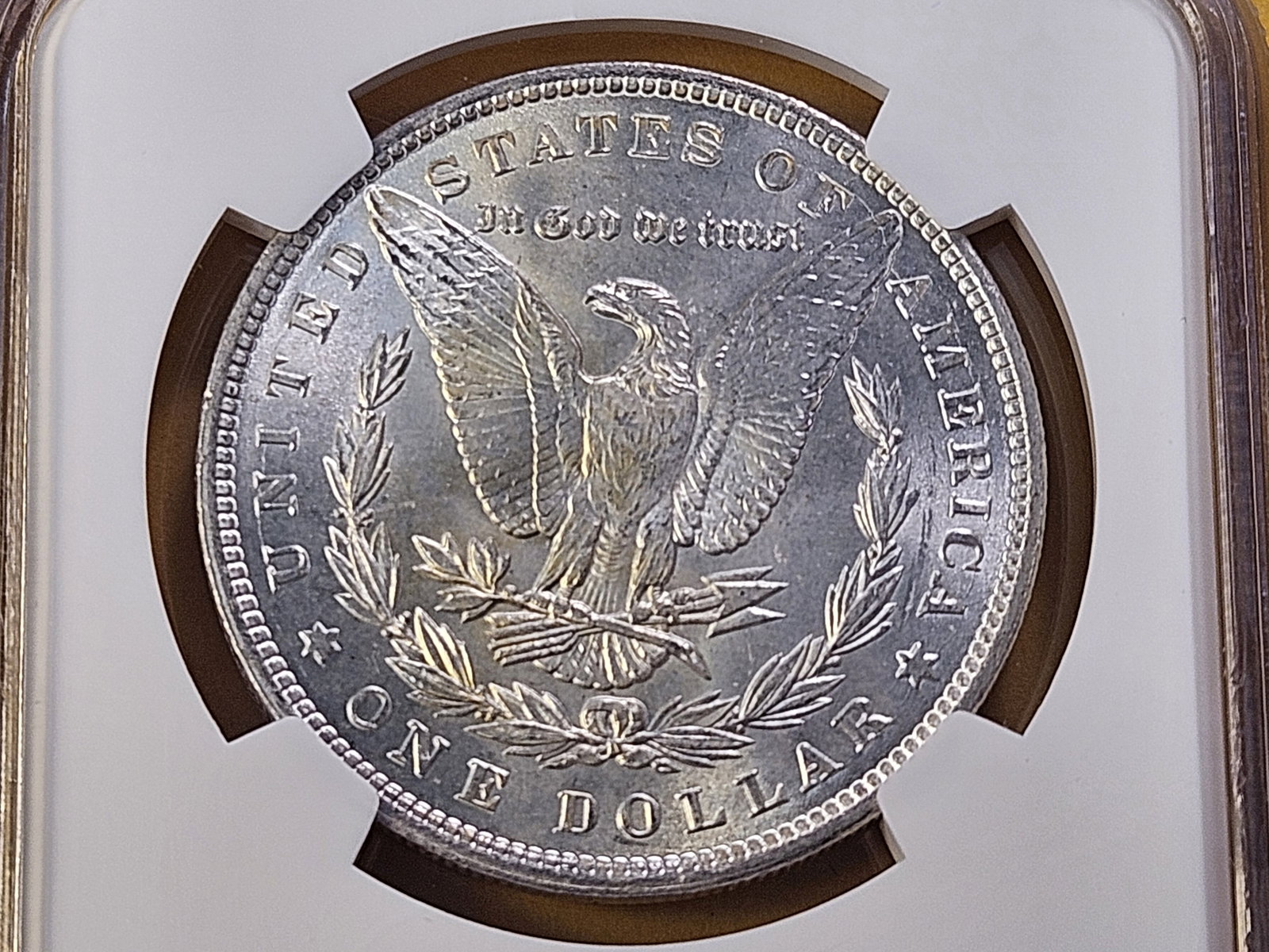 NGC 1900 Morgan Silver Dollar in Mint State 63 - 4