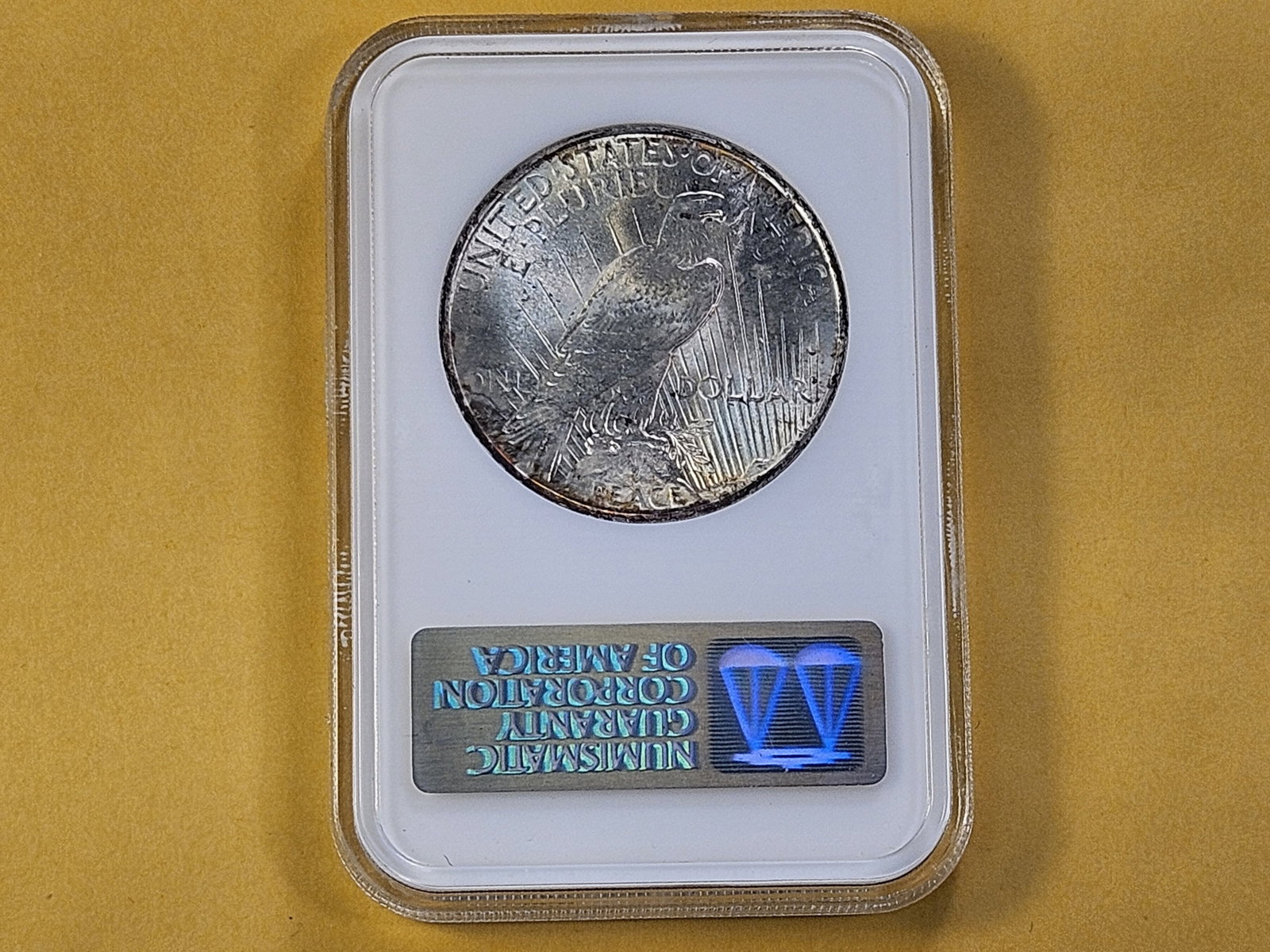 GEM! NGC 1922 Peace Silver Dollar in Mint State 65 - 3