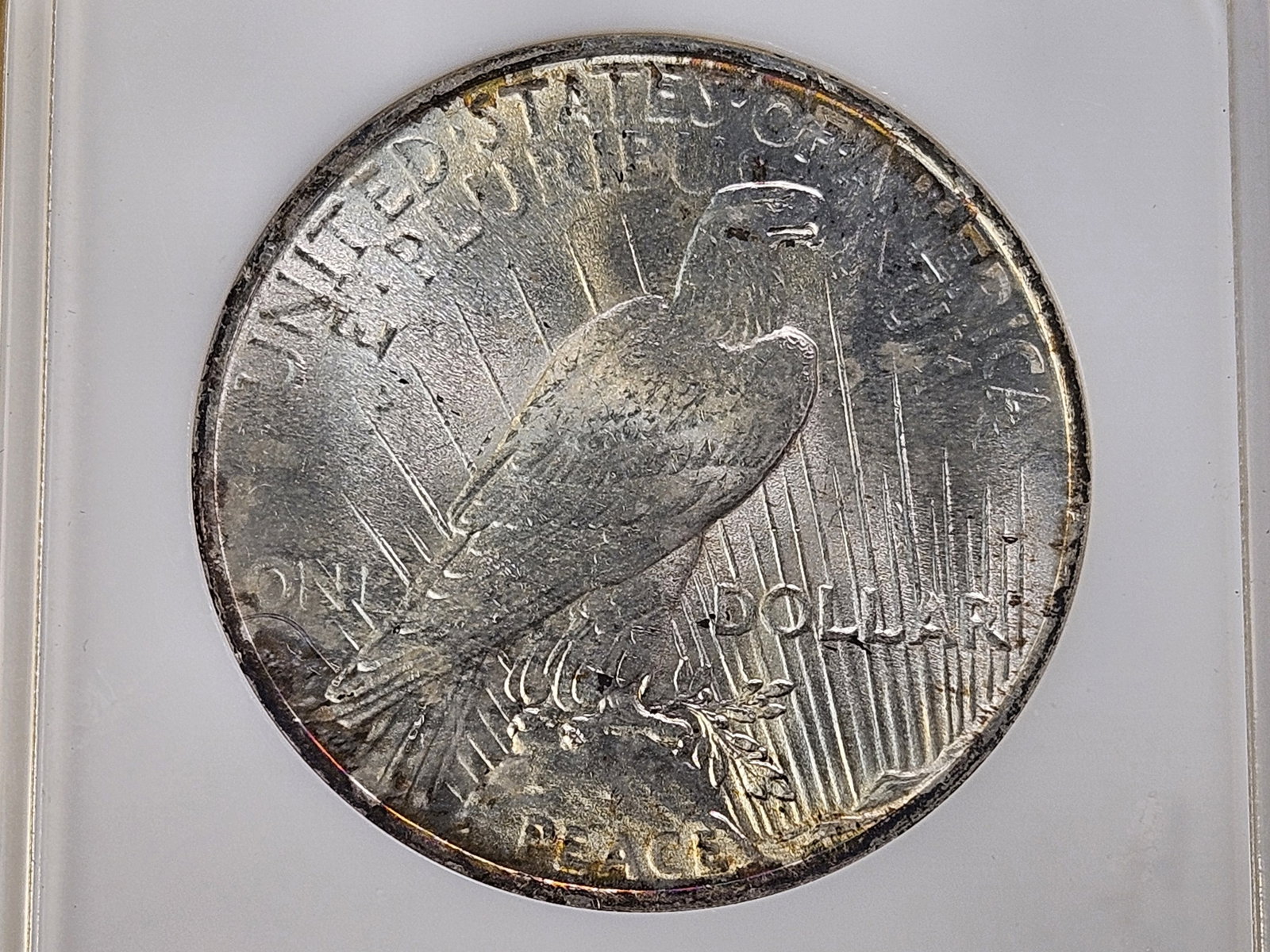 GEM! NGC 1922 Peace Silver Dollar in Mint State 65 - 4