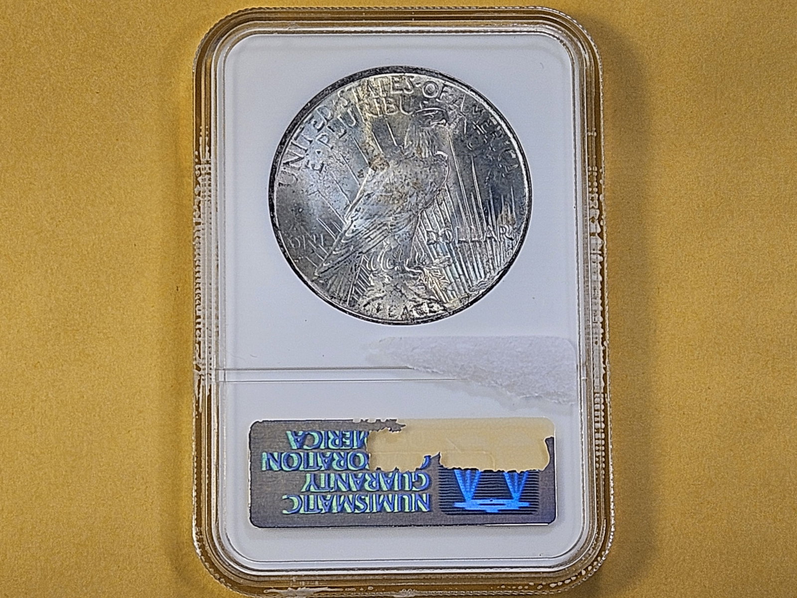 GEM! NGC 1923 Peace Silver Dollar in Mint State 65 - 3
