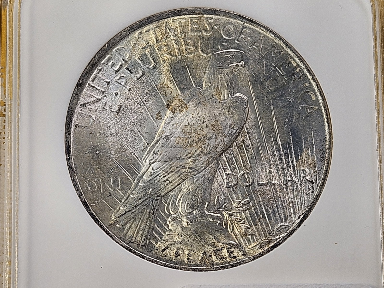 GEM! NGC 1923 Peace Silver Dollar in Mint State 65 - 4