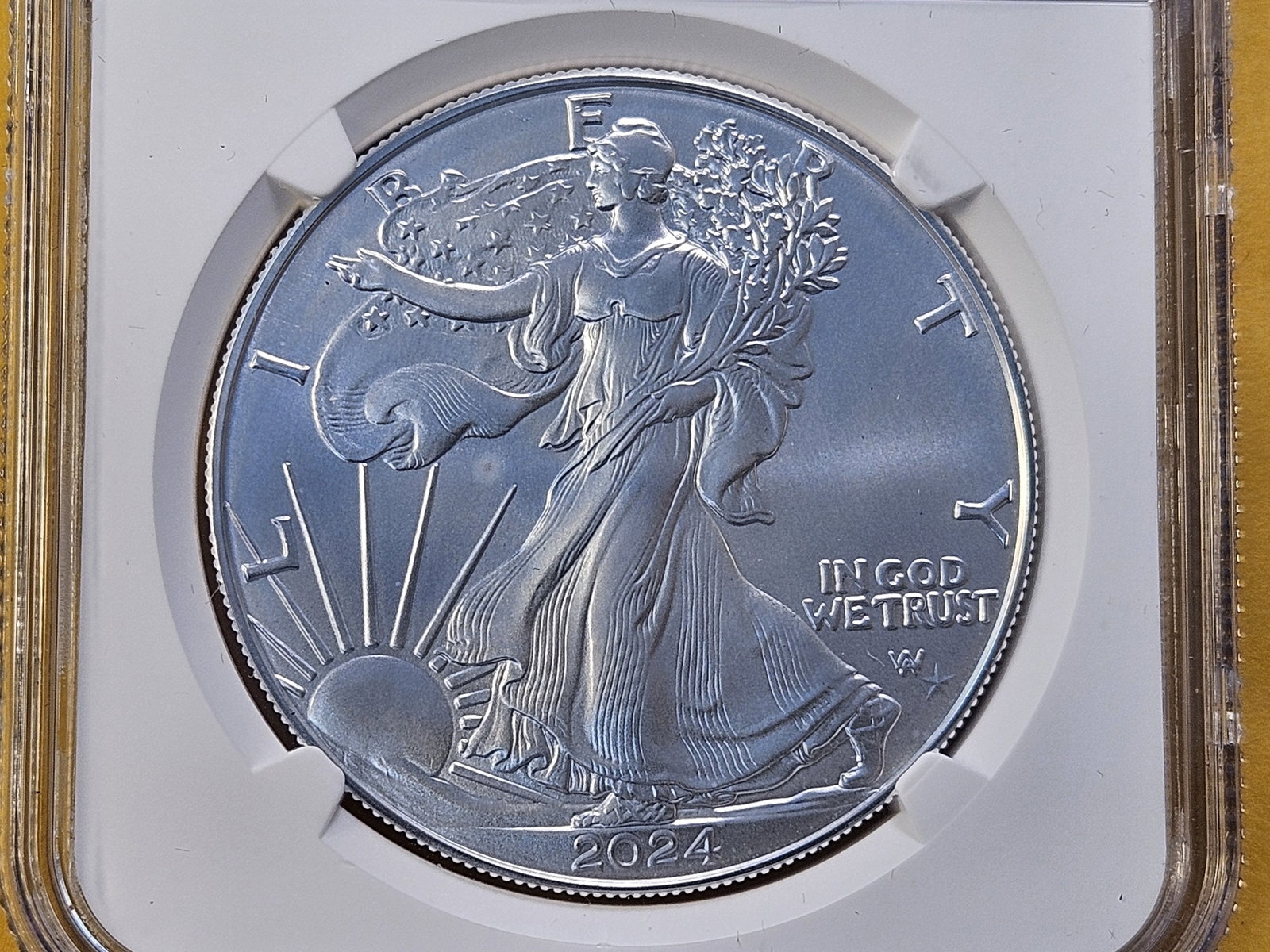 PERFECT! NGC 2024 American Silver Eagle in Mint State 70: Perfect Grade! With Star Privy Mark