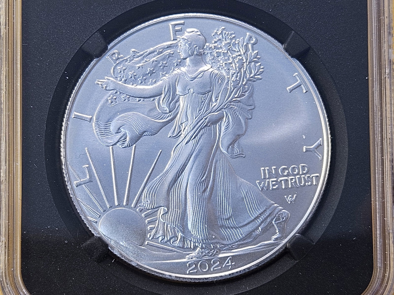 PERFECT! NGC 2024 American Silver Eagle in Proof 70 Deep Cameo (1 of 4)