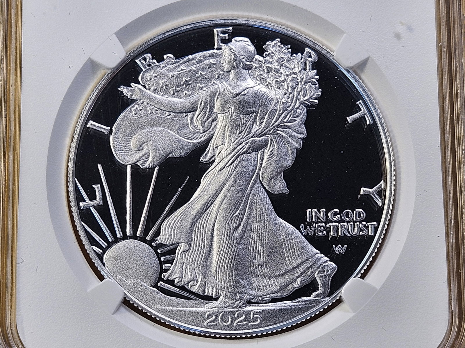 PERFECT! NGC 2025-W American Silver Eagle in Proof 70 Ultra Cameo: Perfect Grade! West Point!