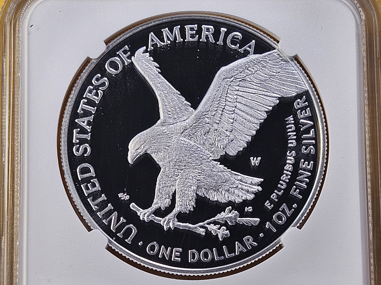PERFECT! NGC 2025-W American Silver Eagle in Proof 70 Ultra Cameo - 4