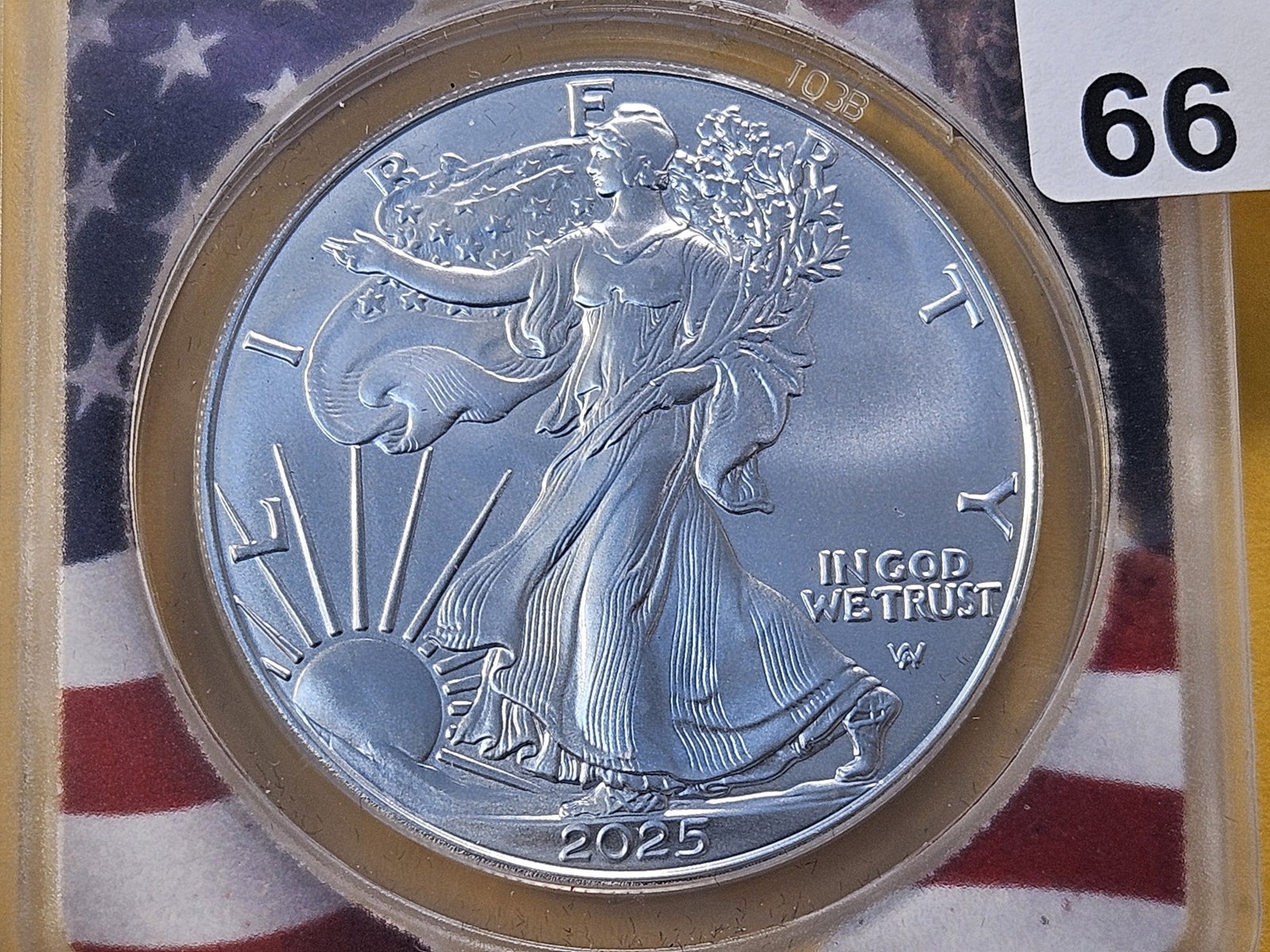 PERFECT! ANACS 2025 American Silver Eagle in Mint State 70: Perfect Grade! First Day Issue