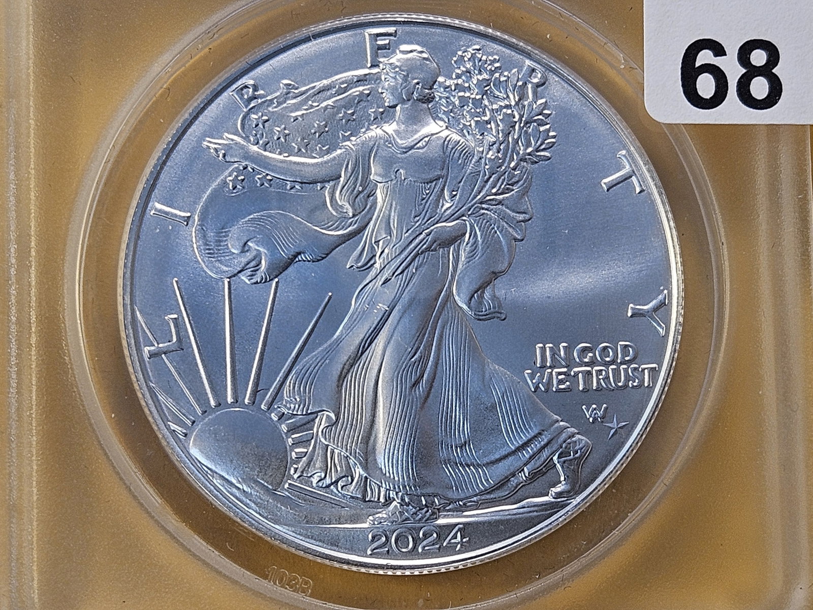 ANACS 2024 American Silver Eagle in Mint State 69: First Day Issue, with Star Privy Mark