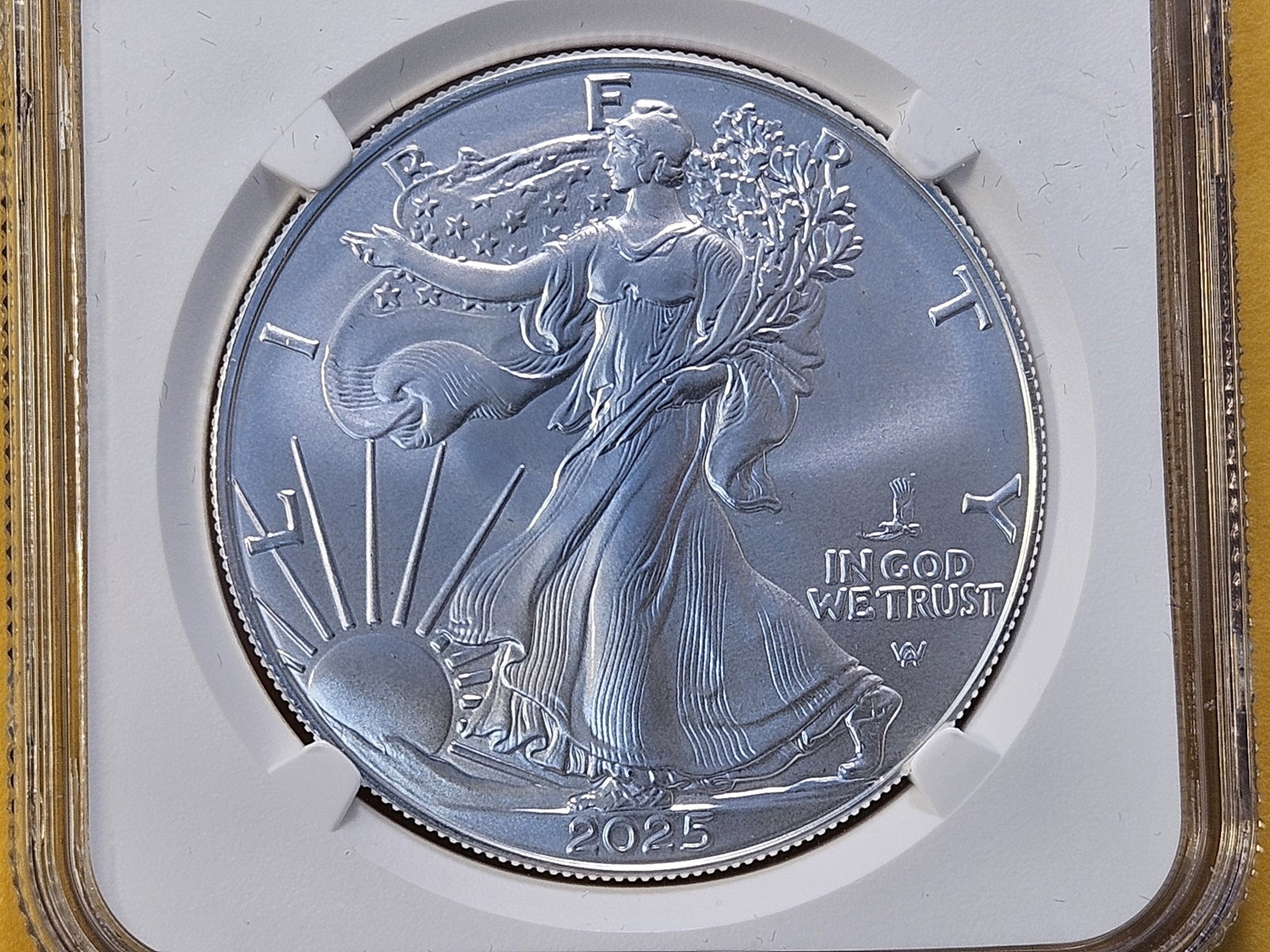 PERFECT! NGC 2025 American Silver Eagle in Mint State 70: Perfect Grade! With Eagle Privy Mark
