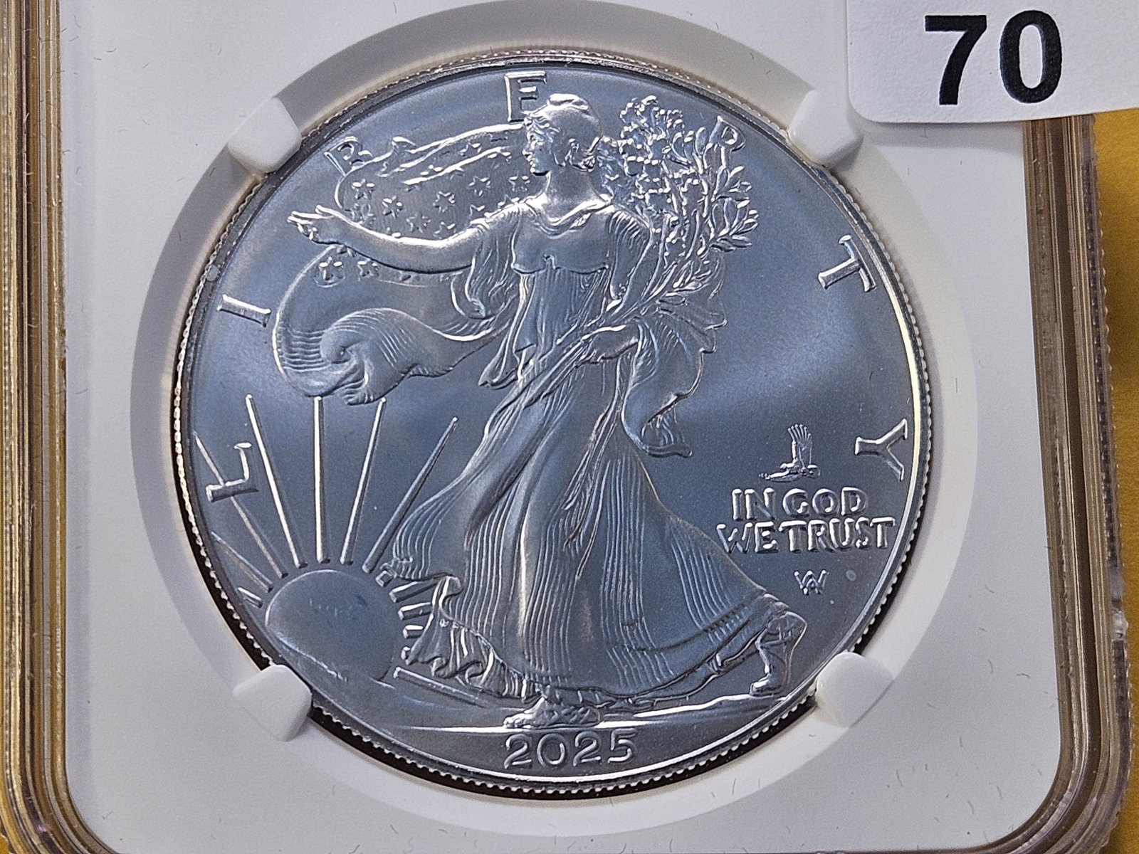 NGC 2025 American Silver Eagle in GEM Brilliant Uncirculated: First Eagle Privy Mark Release, one of the first 50,000 Issued