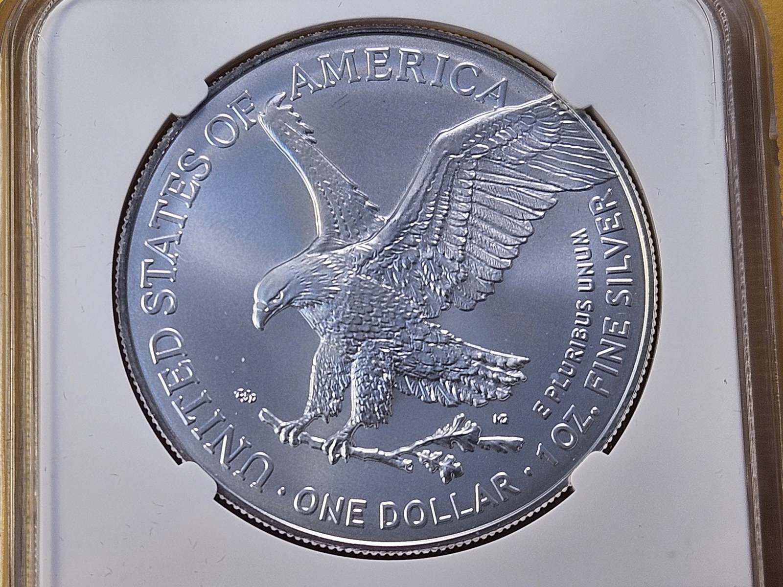 NGC 2025 American Silver Eagle in GEM Brilliant Uncirculated - 4