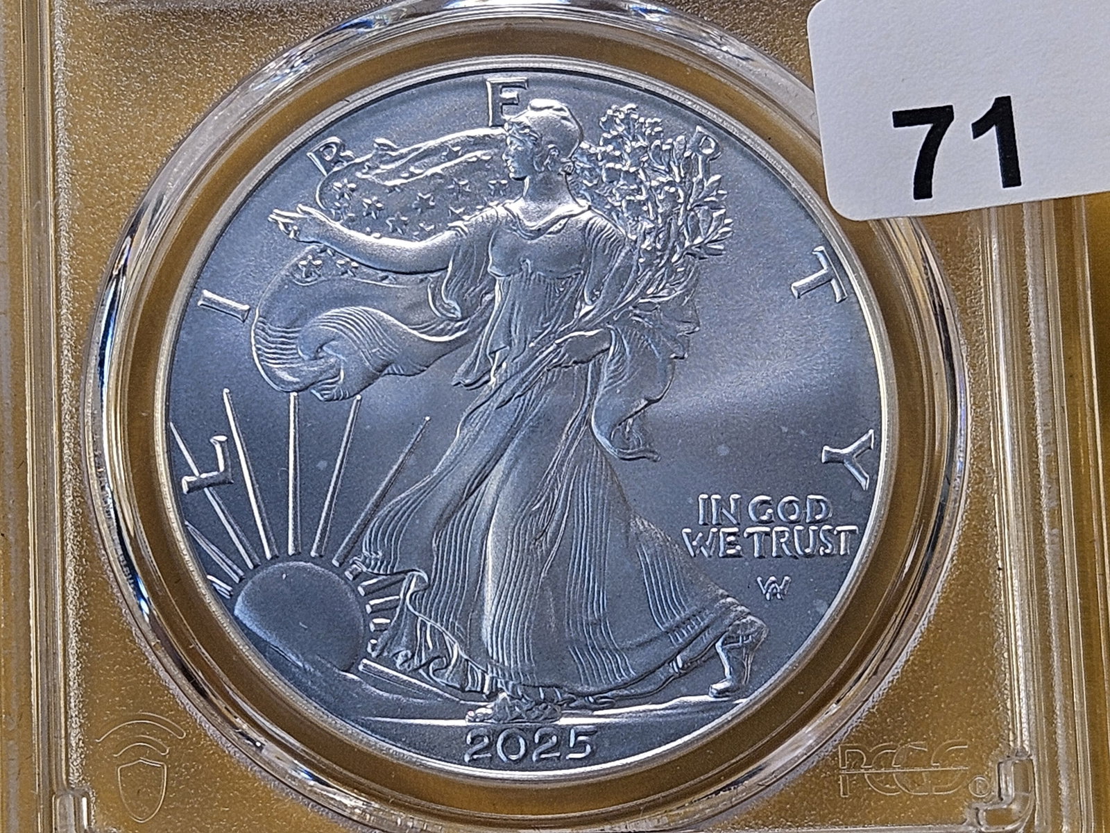 PERFECT! PCGS 2025 American Silver Eagle in Mint State 70: Perfect Grade!