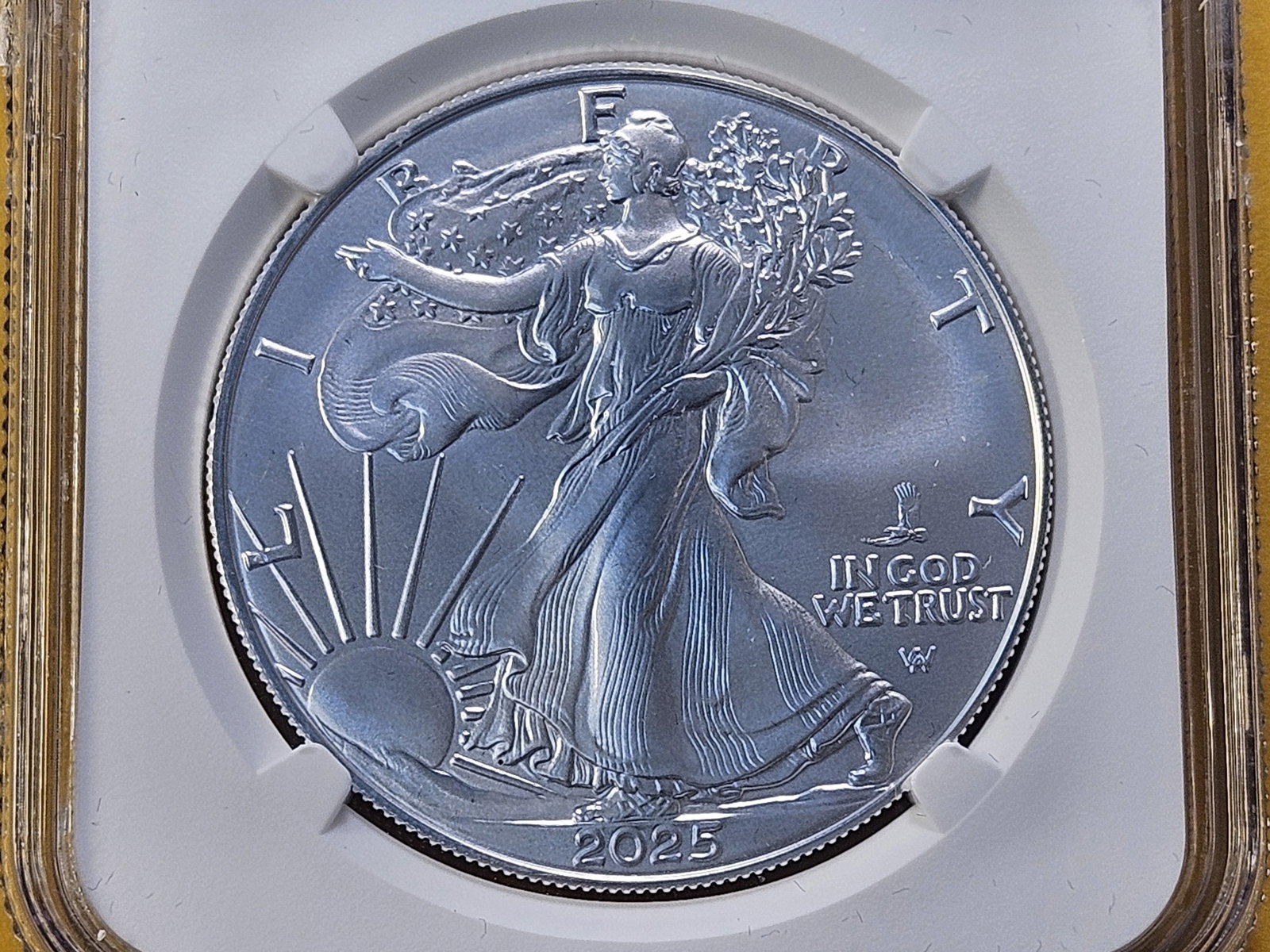 PERFECT! NGC 2025 American Silver Eagle in Mint State 70: Perfect Grade! With Eagle Privy Mark