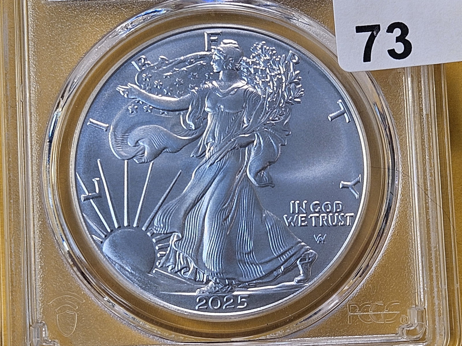 PERFECT! PCGS 2025 American Silver Eagle in Mint State 70: Perfect Grade! In First Strike Holder