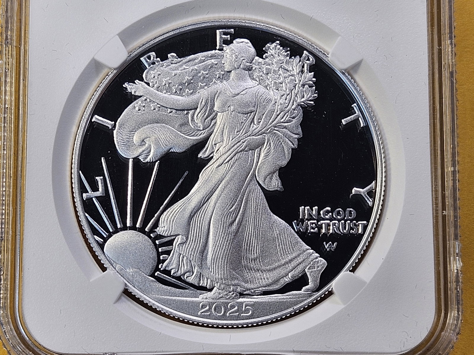 PERFECT! NGC 2025-S American Silver Eagle in Proof 70 Ultra Cameo: Perfect Grade! In Advanced Release Holder