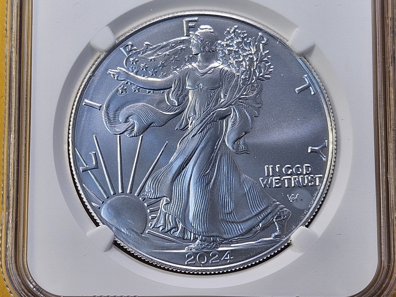 NGC 2024 American Silver Eagle in Mint State 69: Almost Perfect! In First Release Holder